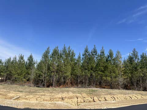Vacant Land For Sale - 754 Freedom Ridge Lane<br/> Brandon, MS 39047