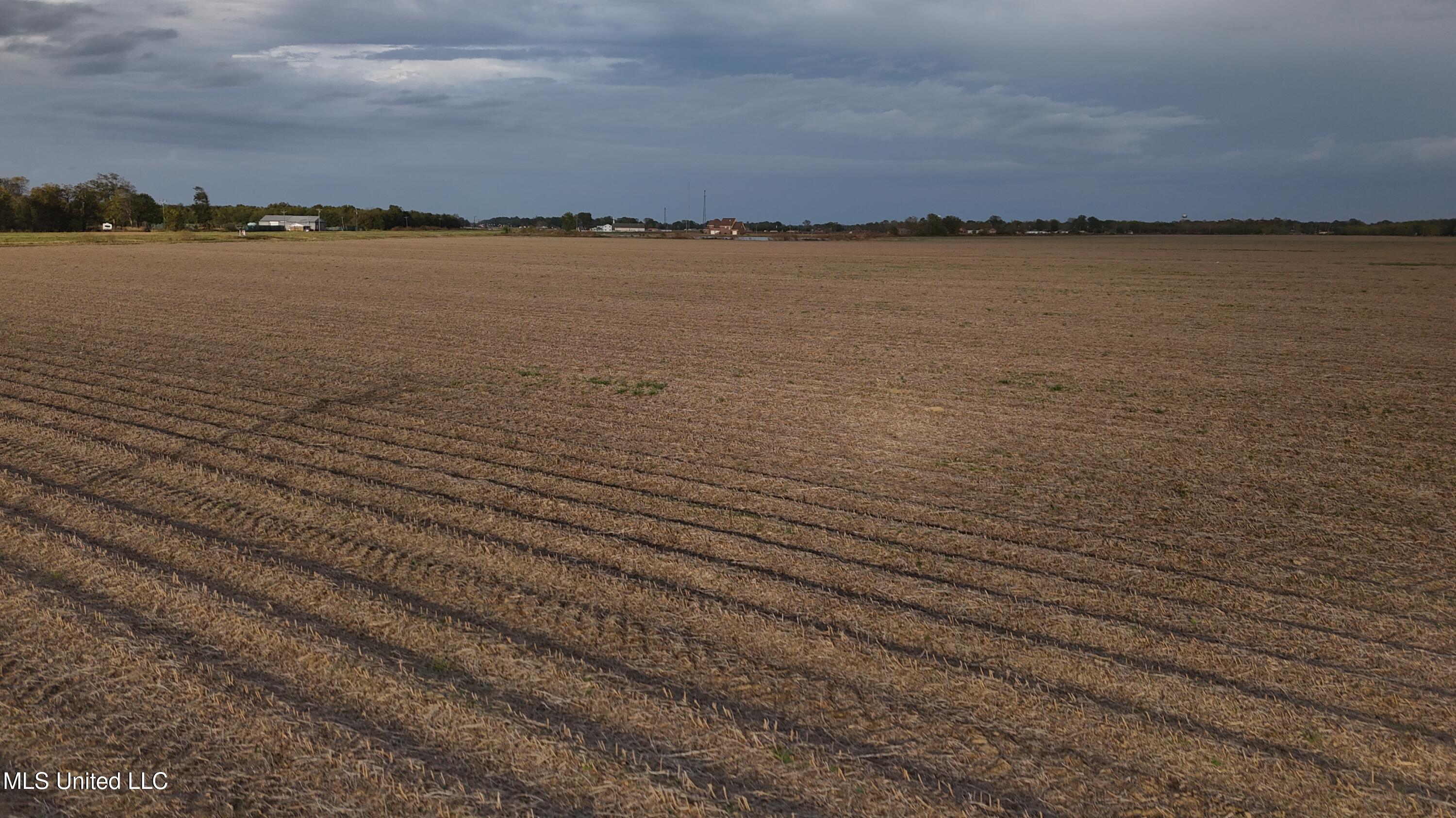 Highway 82, Itta Bena, Mississippi image 8