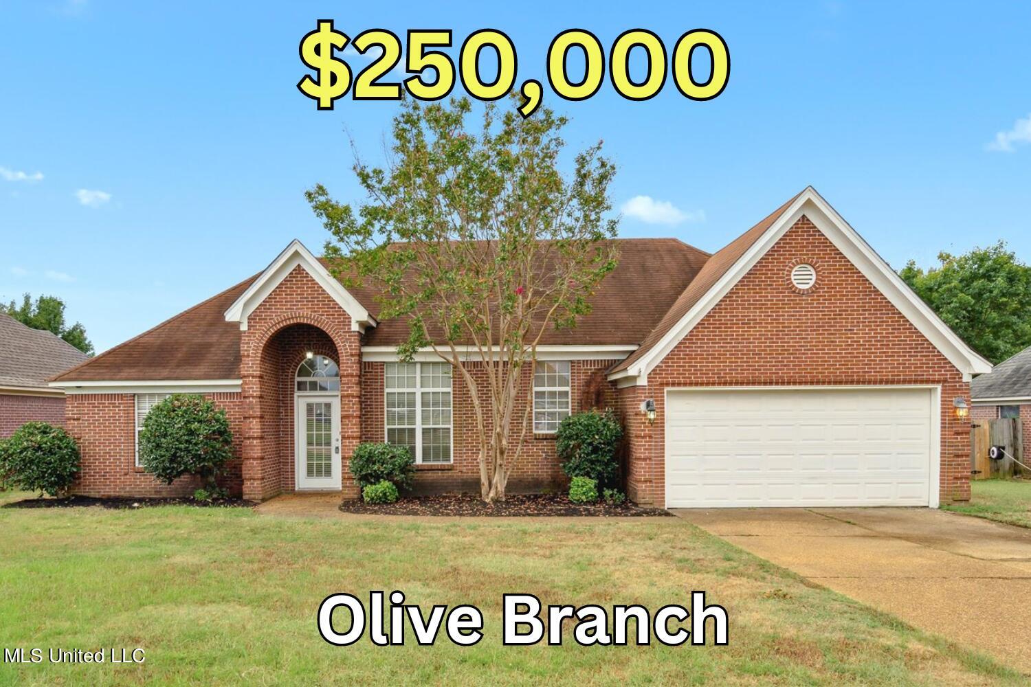 10515 Riggan Drive, Olive Branch, Mississippi image 1