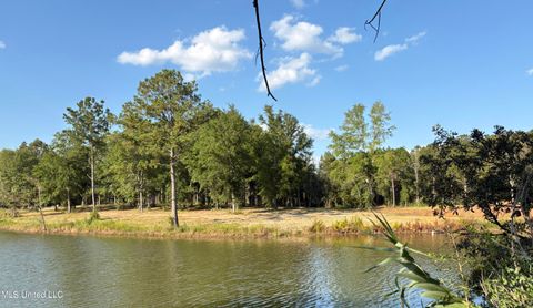 Vacant Land For Sale - Summerour Road<br/> George County, Lucedale, MS 39452