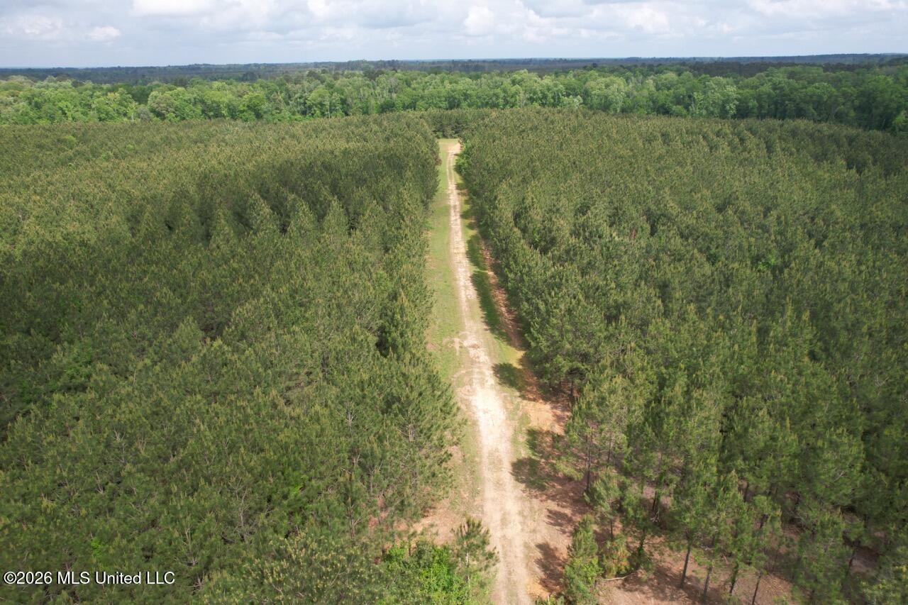 2355 Willie Redden Road