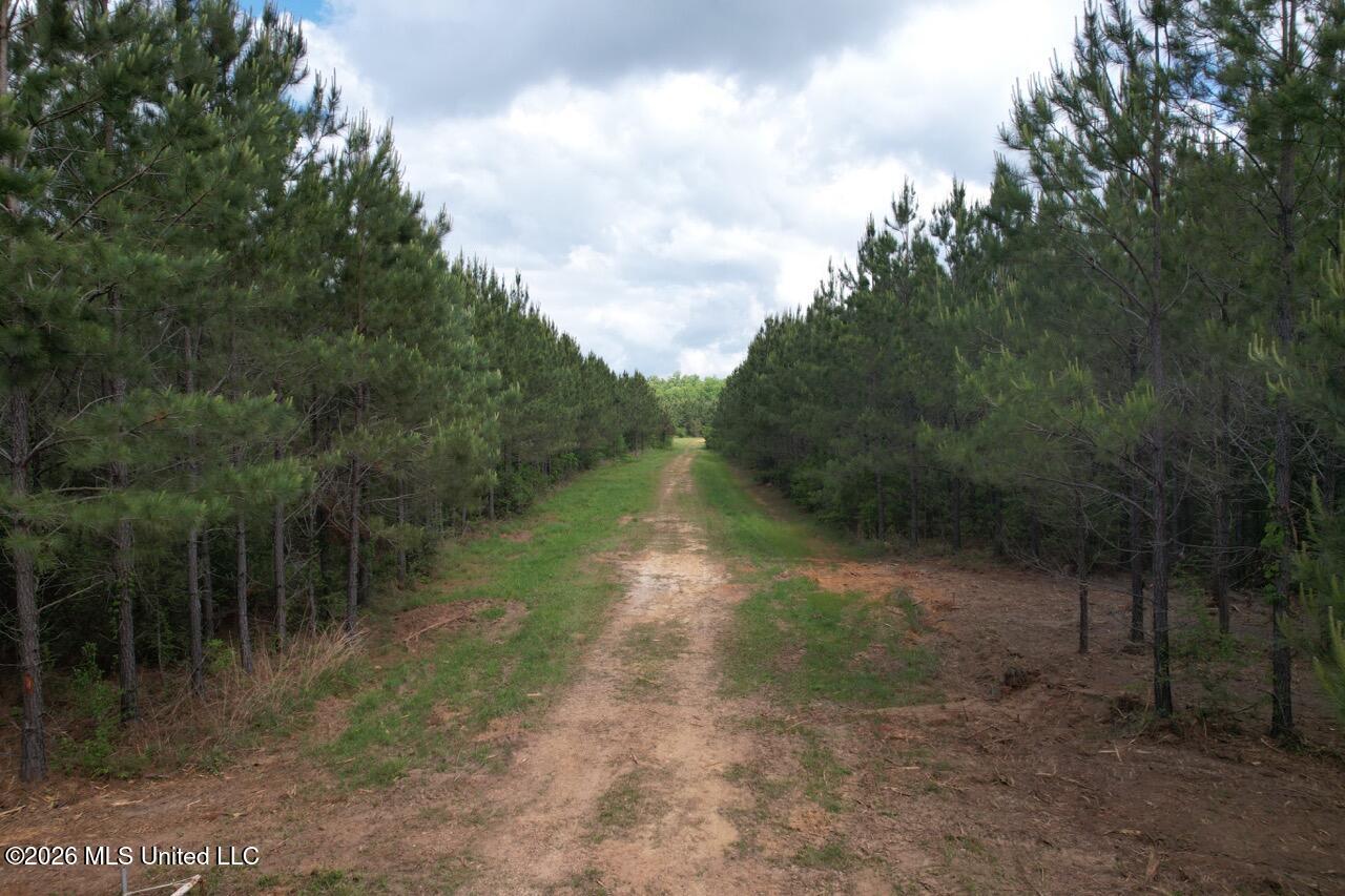 2355 Willie Redden Road