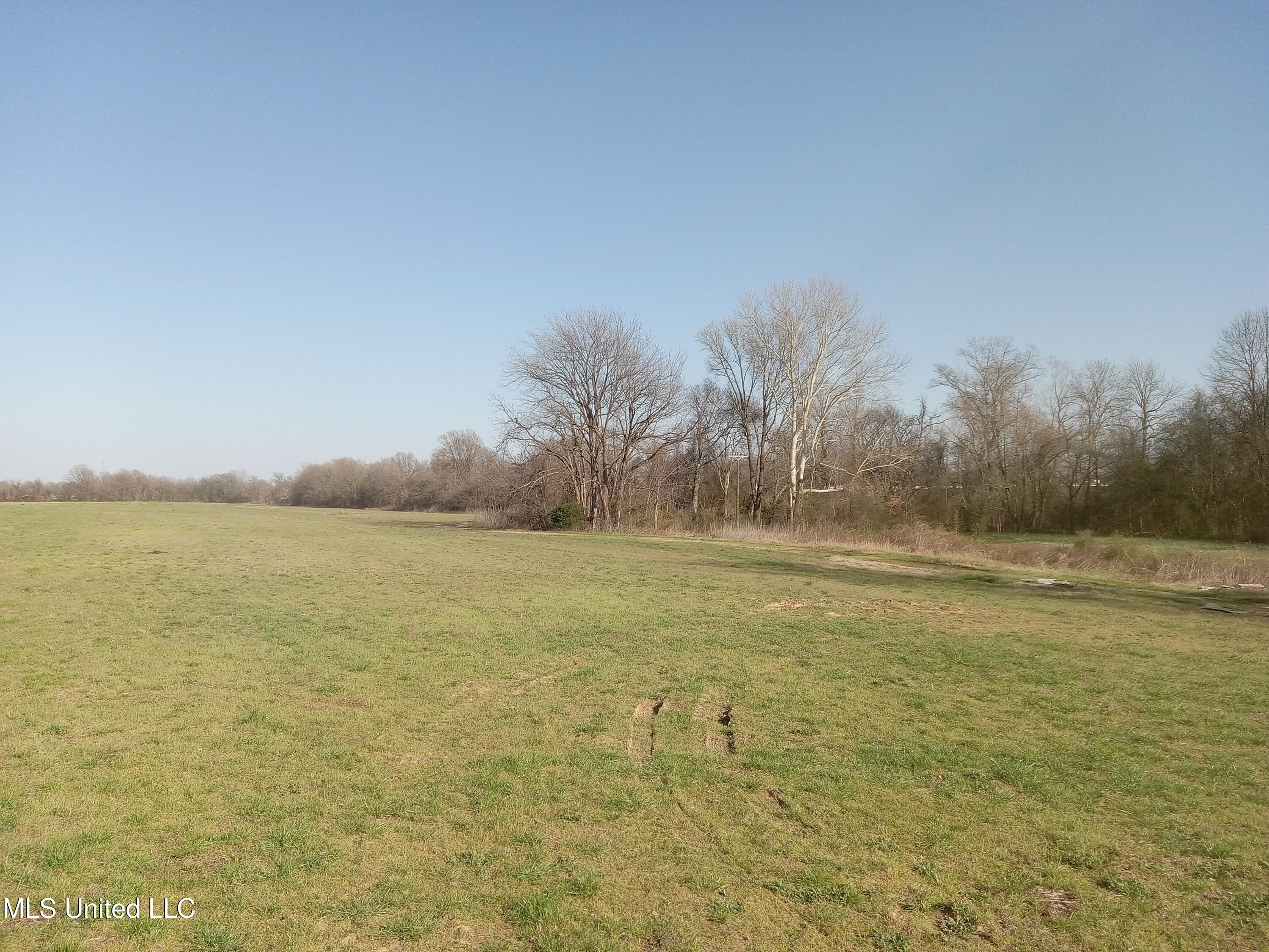 Marie Road, Indianola, Mississippi image 6