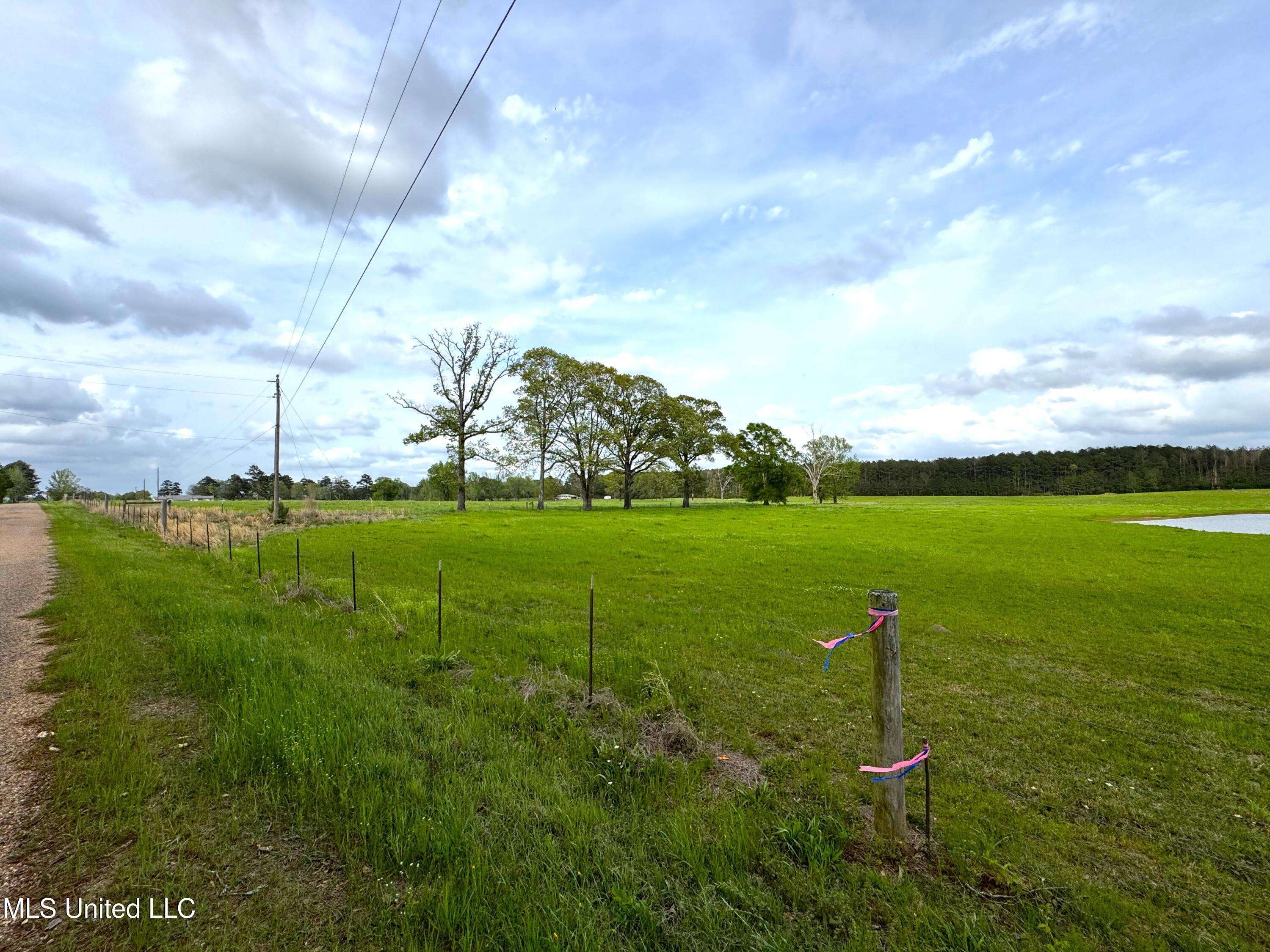 2453 Dalton Lane, Smithdale, Mississippi image 1