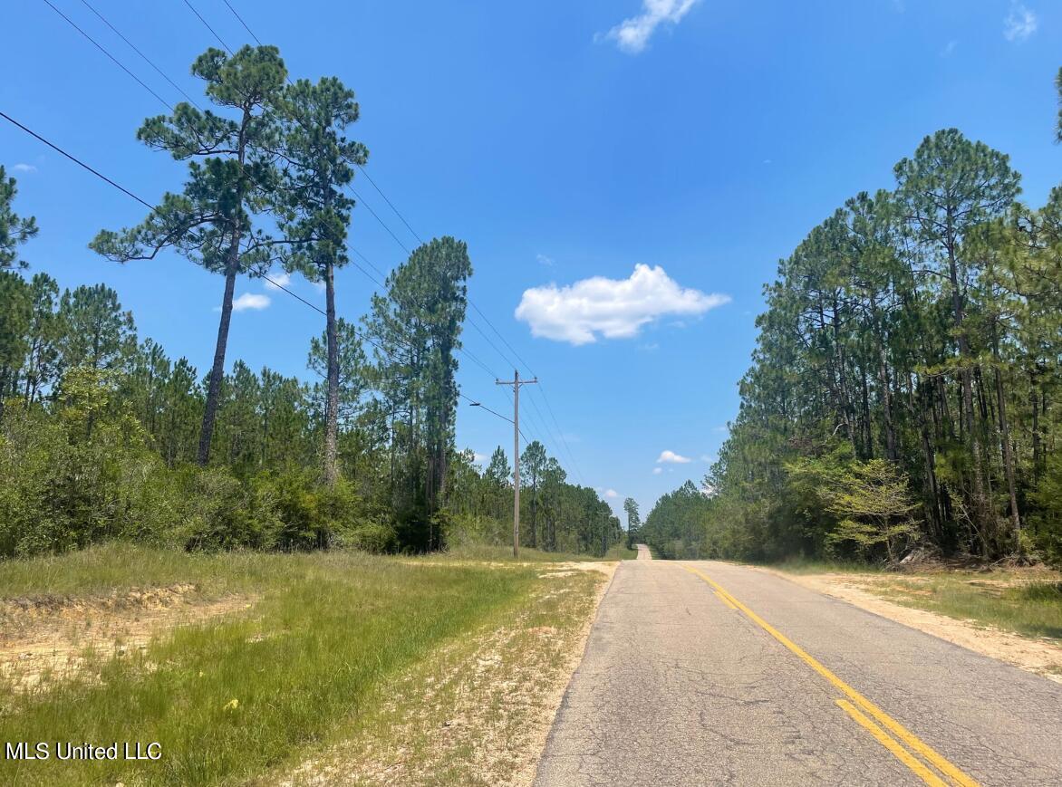 Herman Ladner Road, Saucier, Mississippi image 5