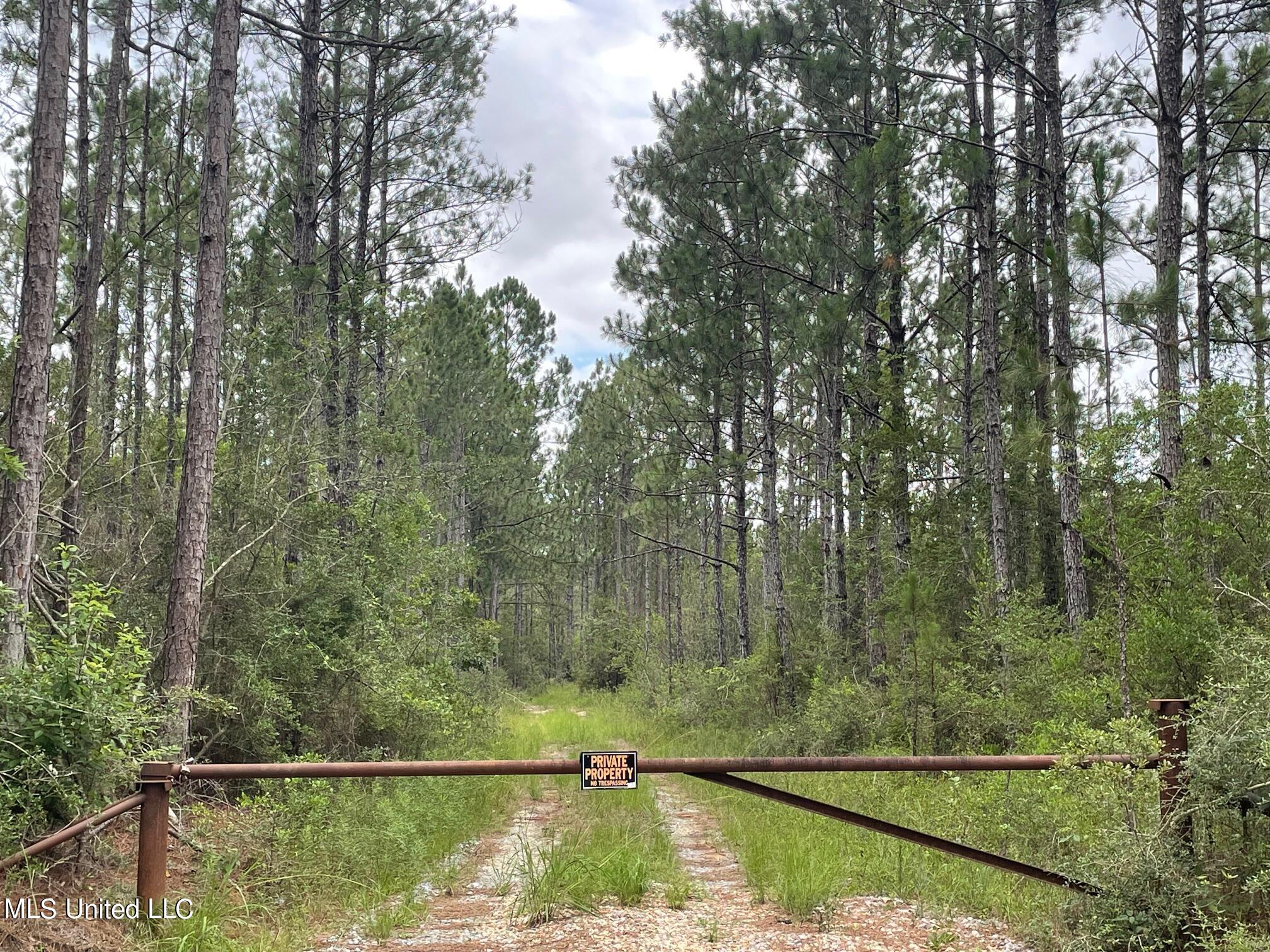 Herman Ladner Road, Saucier, Mississippi image 2