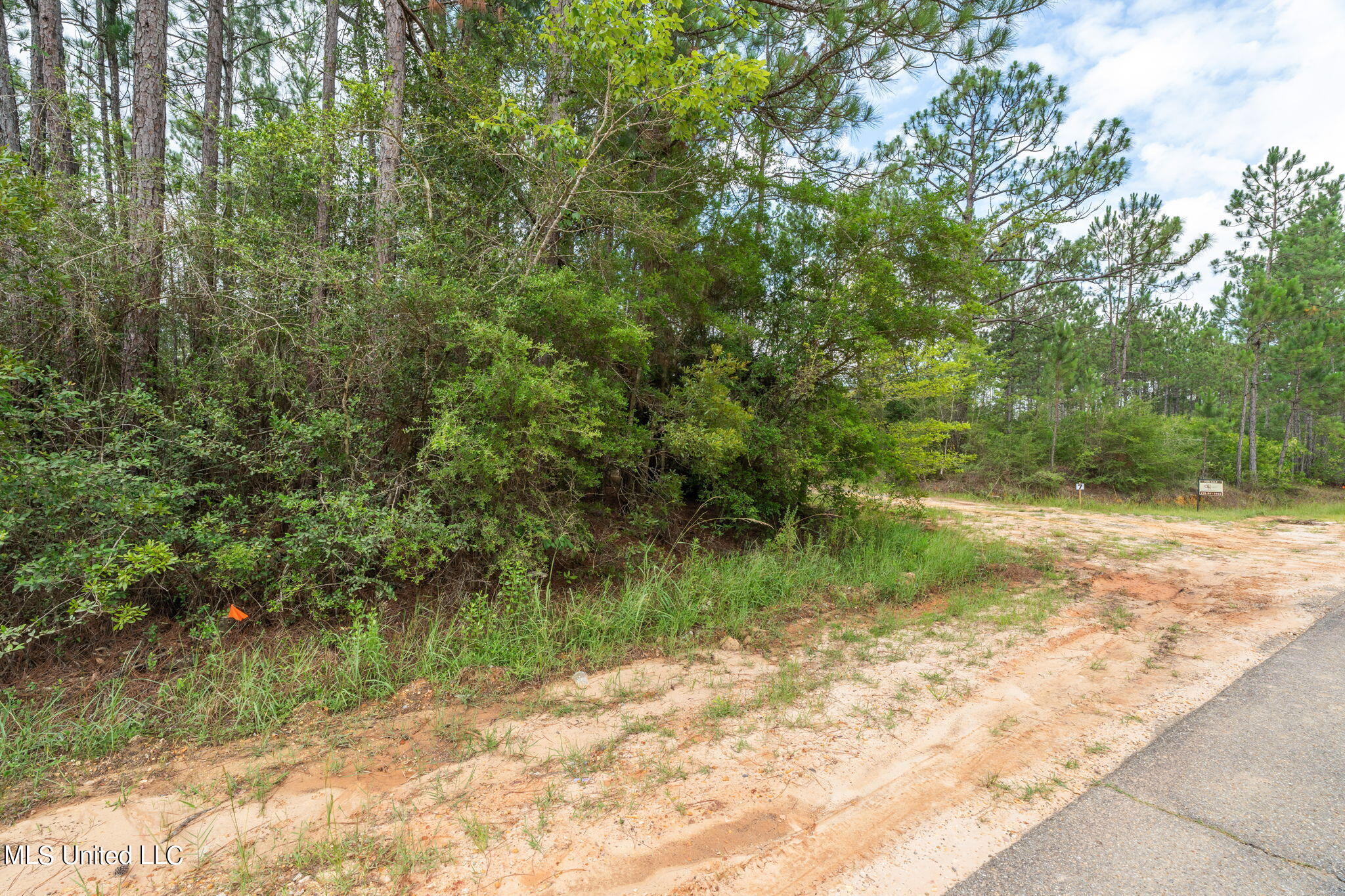 Herman Ladner Road, Saucier, Mississippi image 9