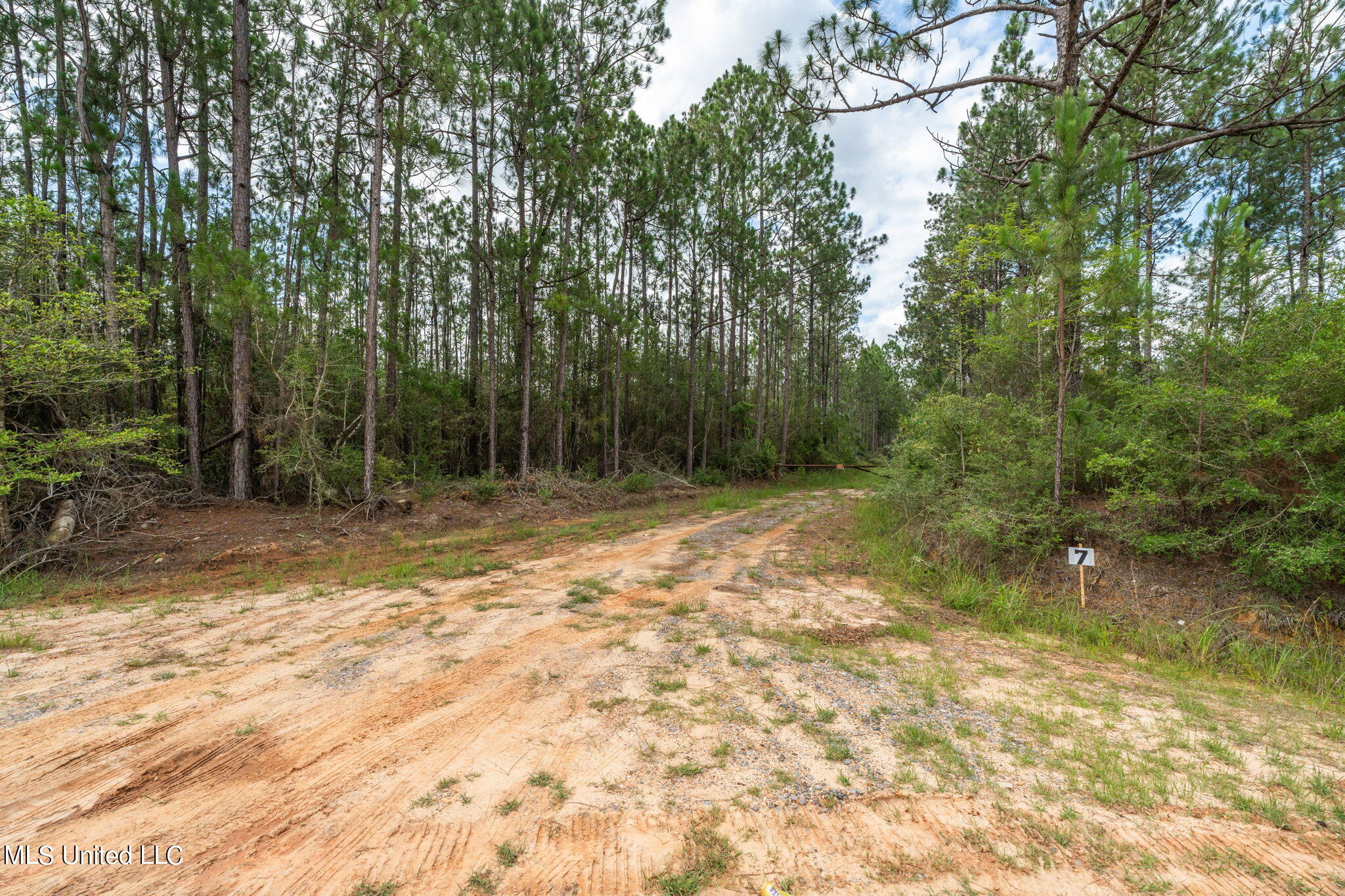 Herman Ladner Road, Saucier, Mississippi image 8