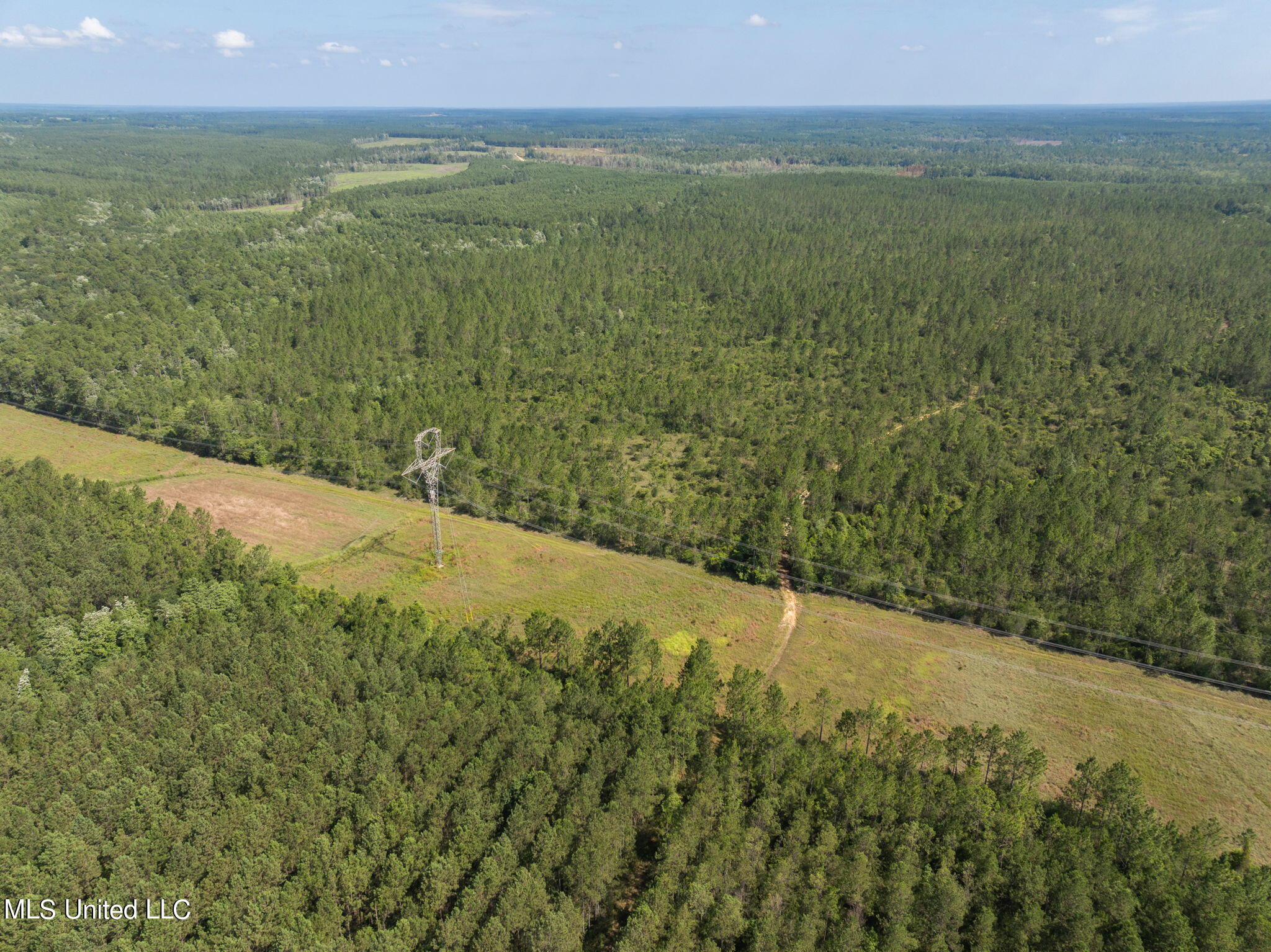 Herman Ladner Road, Saucier, Mississippi image 11