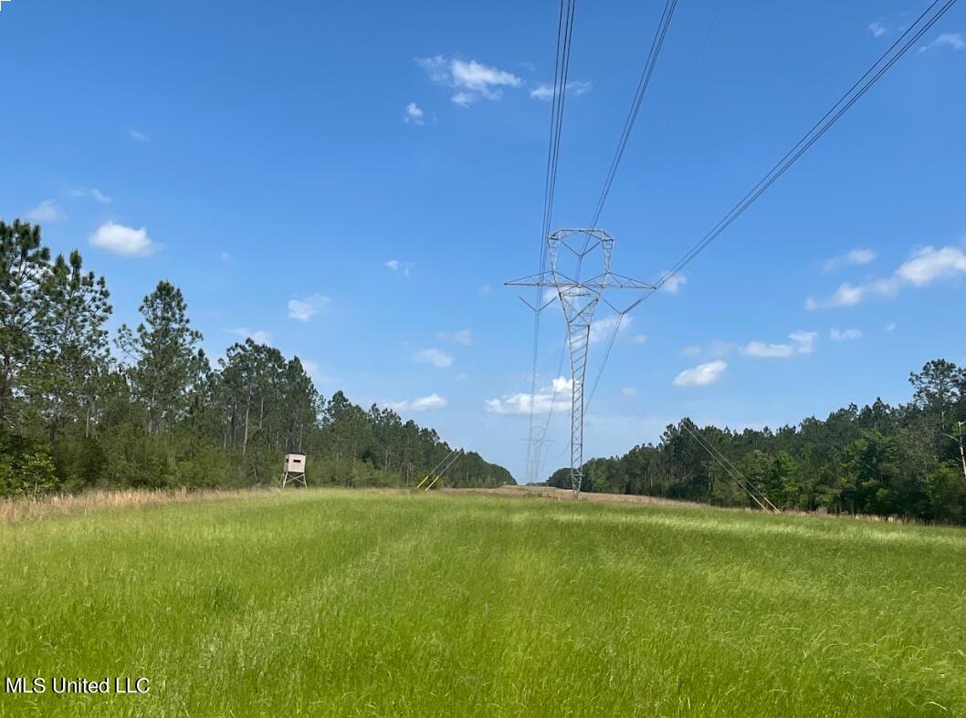 Herman Ladner Road, Saucier, Mississippi image 4