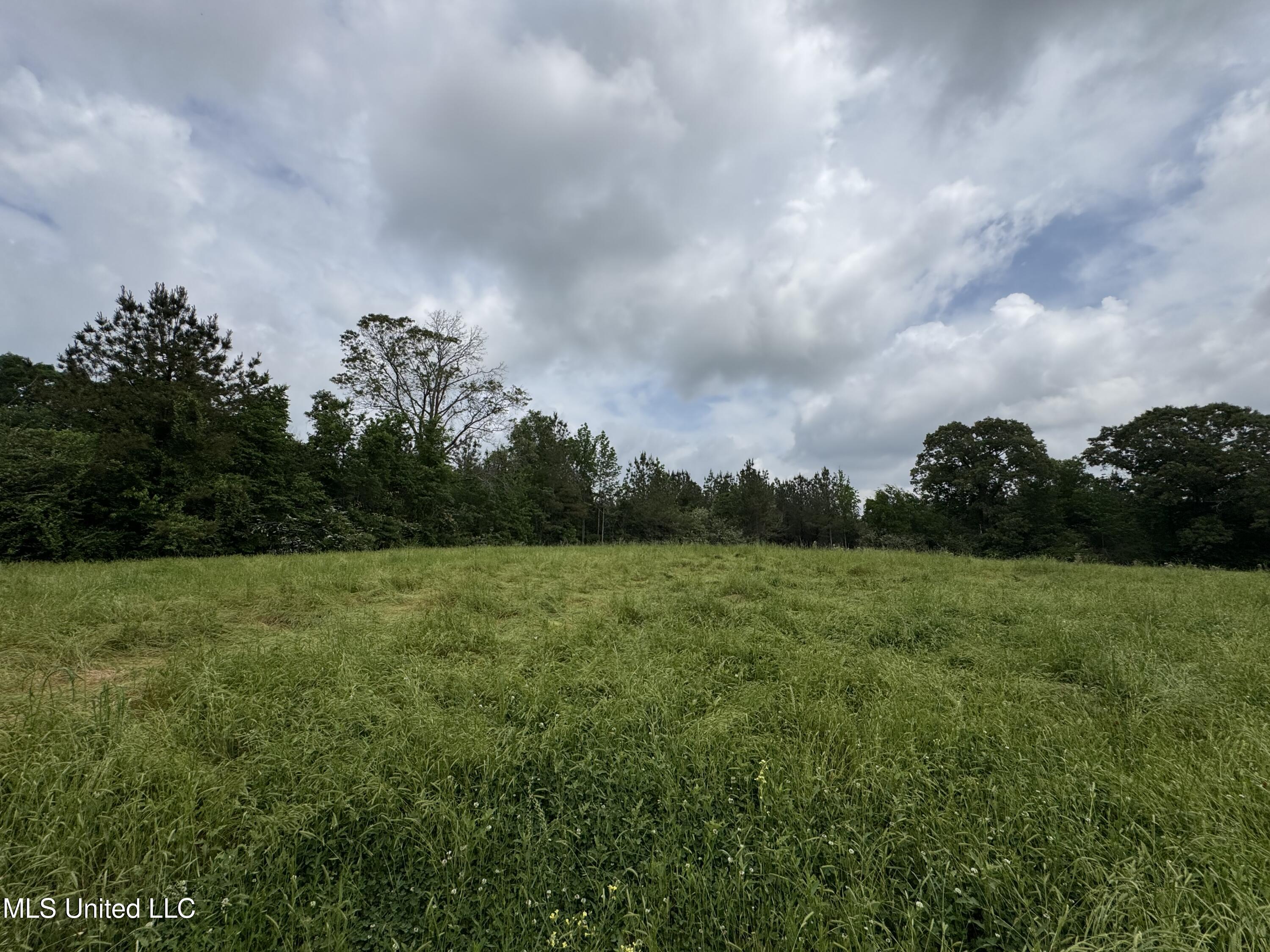 2048 Ashley Road, Hazlehurst, Mississippi image 33