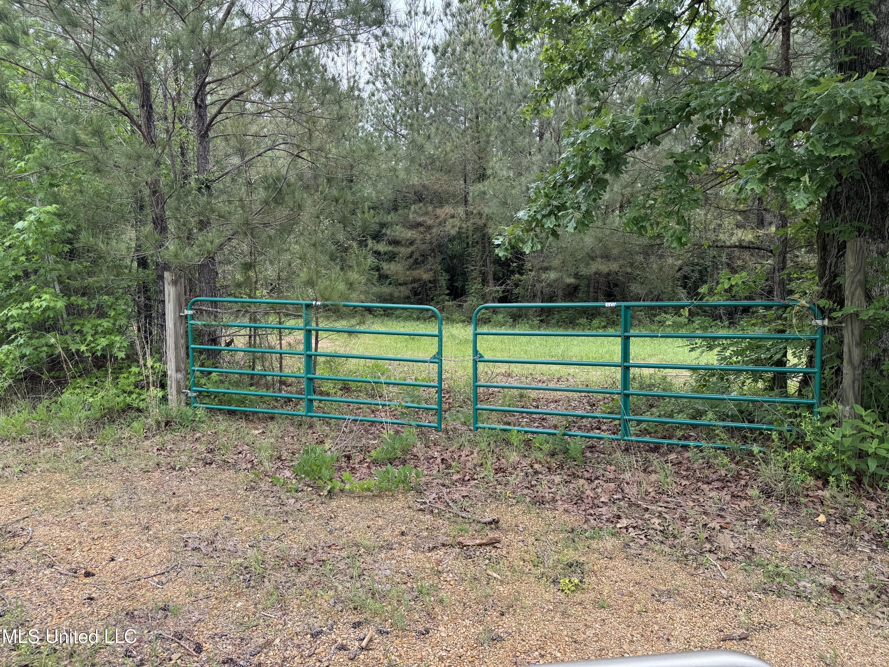 2048 Ashley Road, Hazlehurst, Mississippi image 19