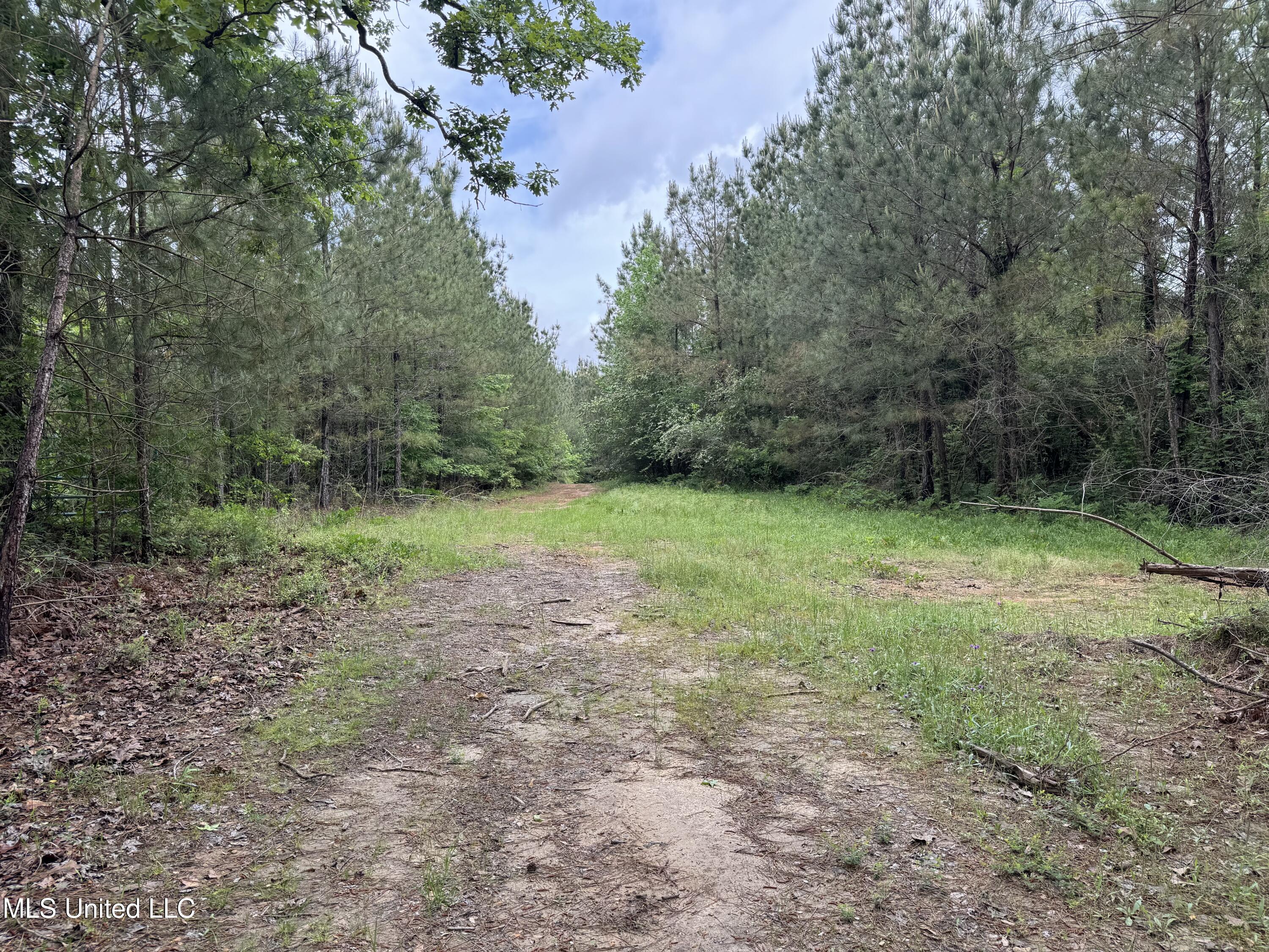 2048 Ashley Road, Hazlehurst, Mississippi image 20