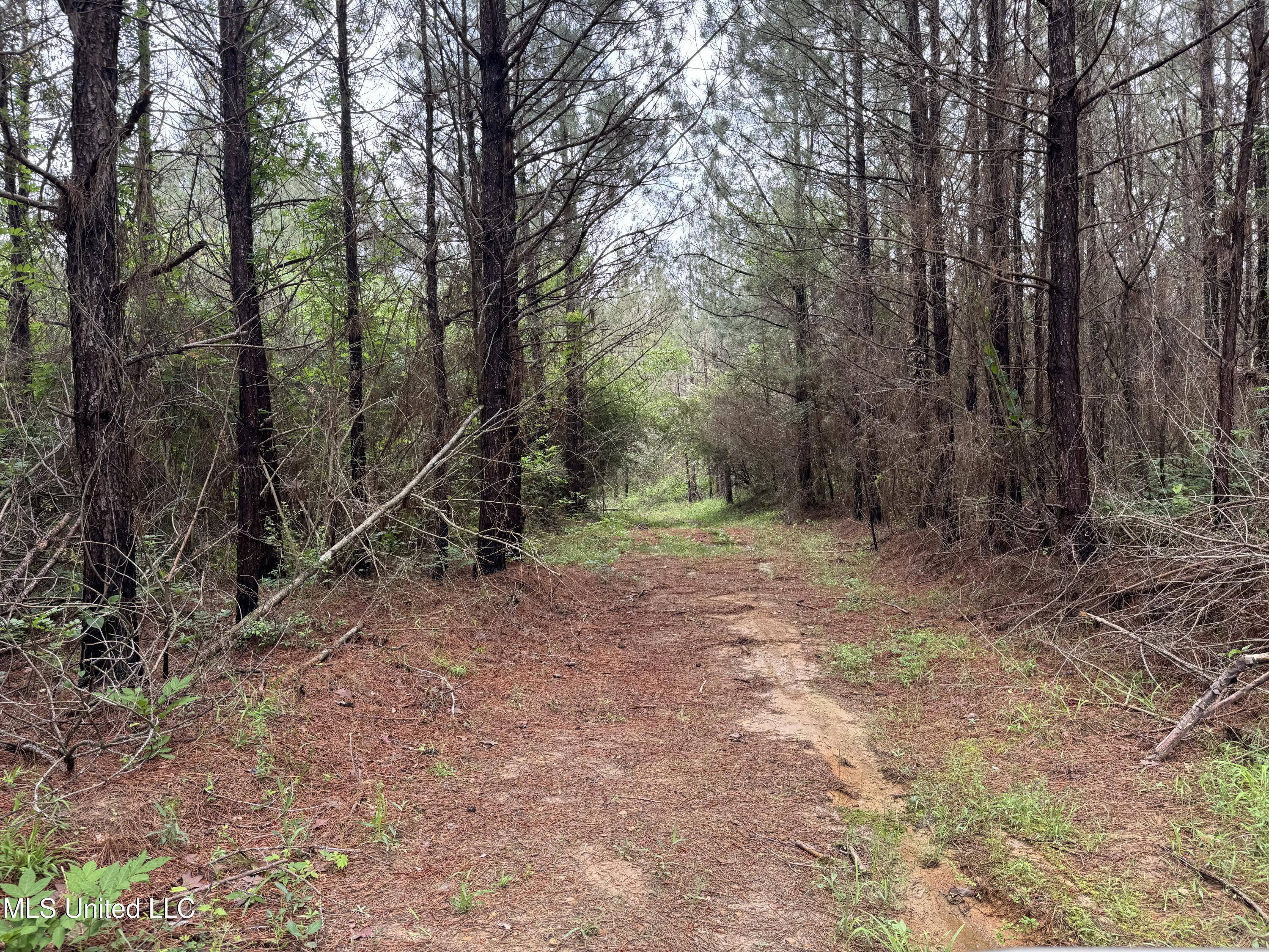 2048 Ashley Road, Hazlehurst, Mississippi image 21