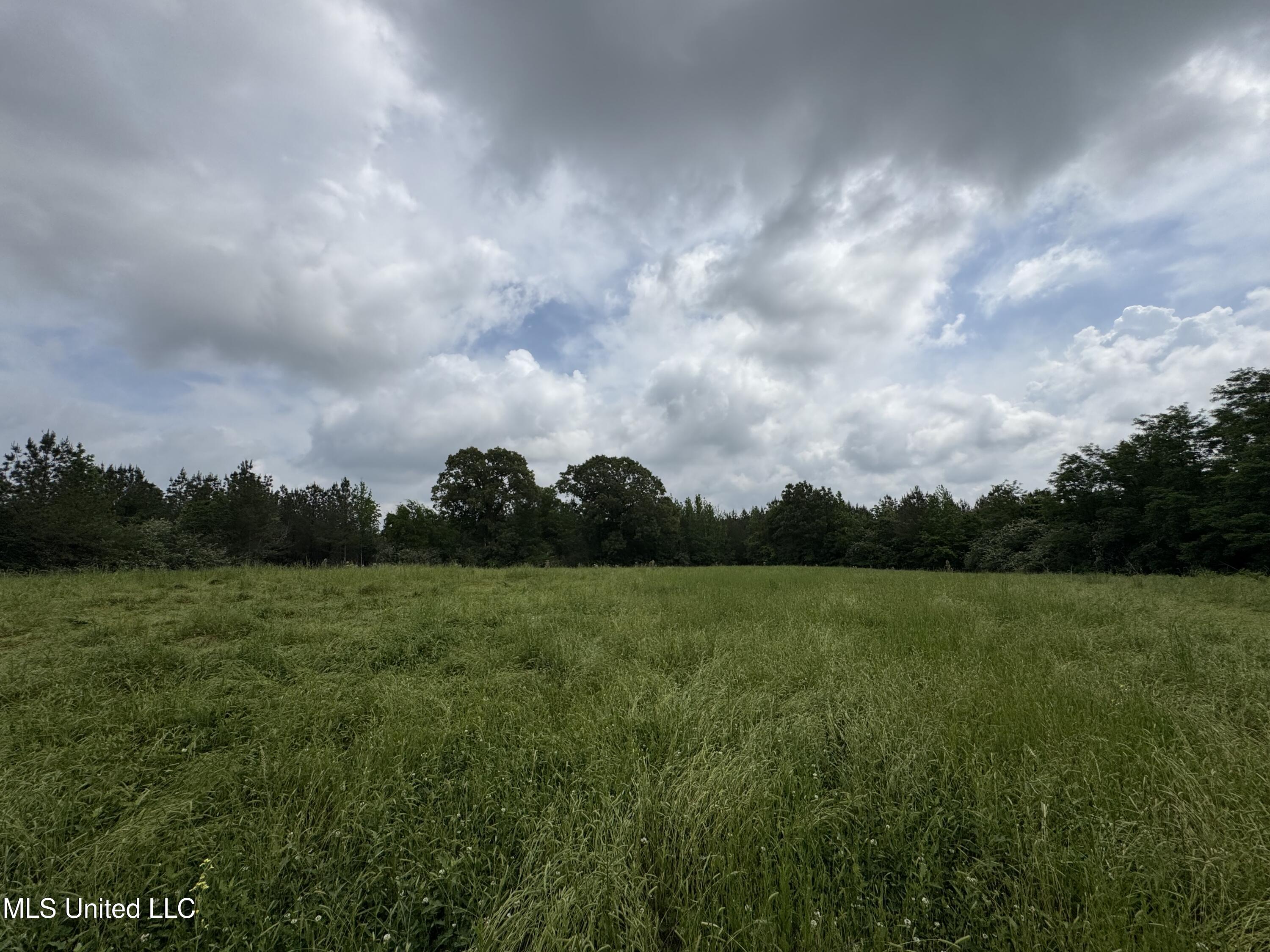 2048 Ashley Road, Hazlehurst, Mississippi image 32