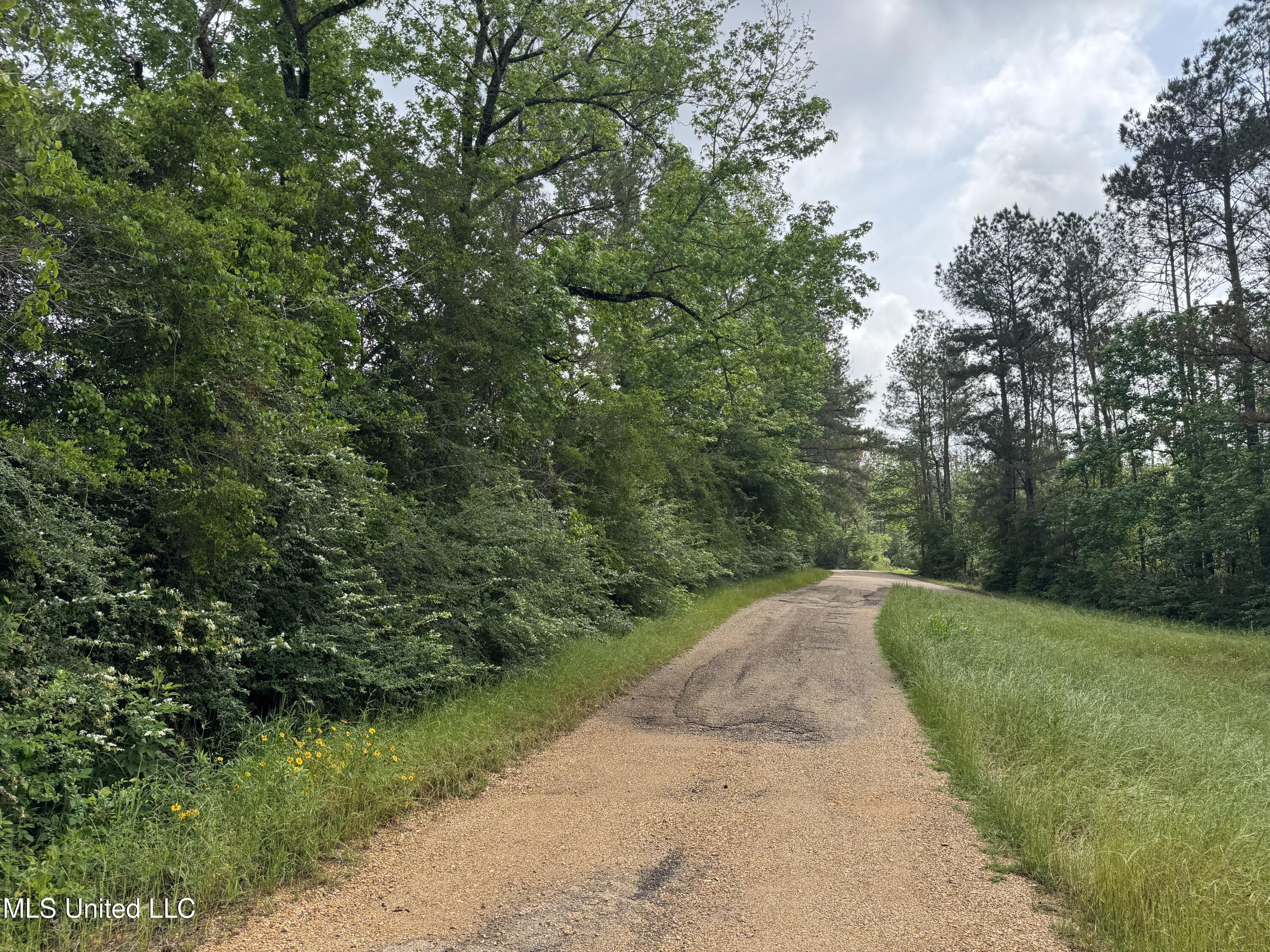 2048 Ashley Road, Hazlehurst, Mississippi image 6