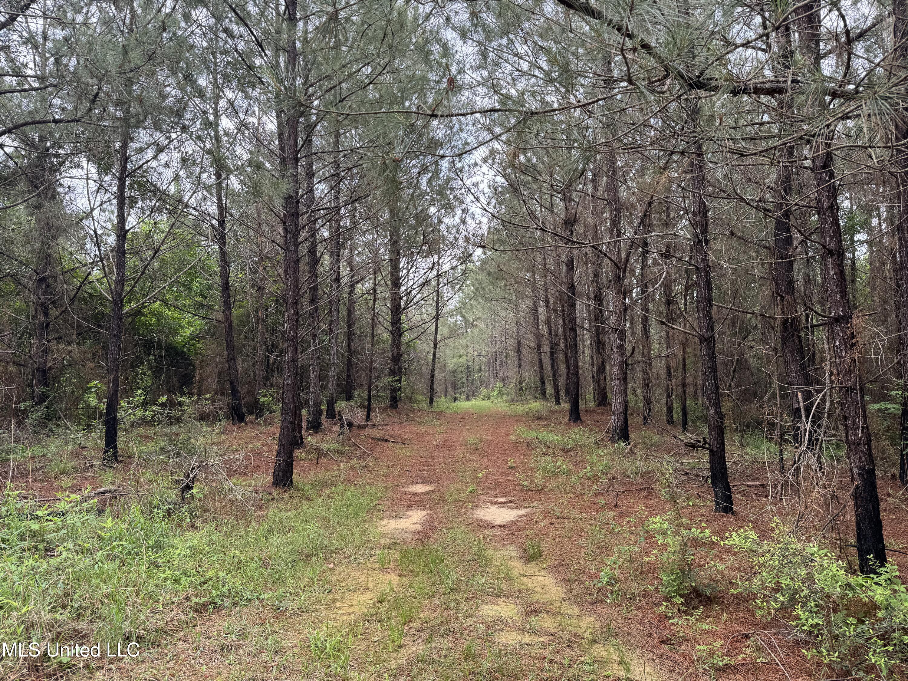 2048 Ashley Road, Hazlehurst, Mississippi image 25