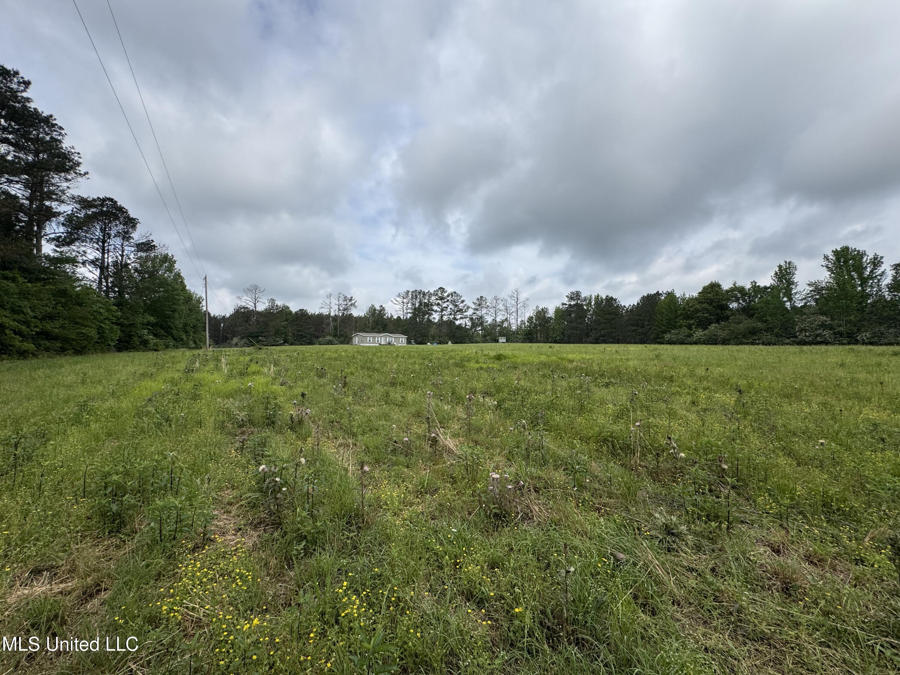 2048 Ashley Road, Hazlehurst, Mississippi image 10
