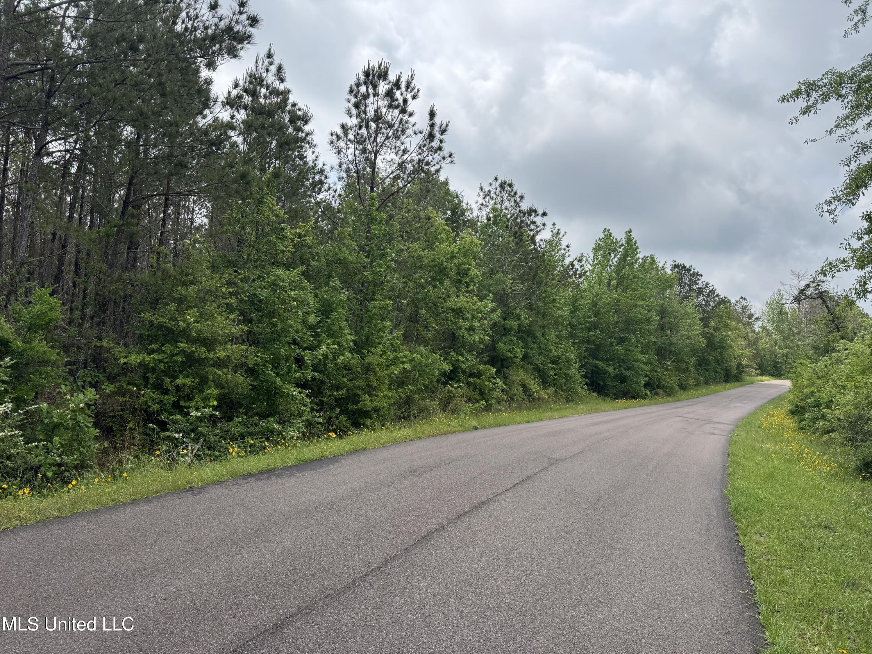 2048 Ashley Road, Hazlehurst, Mississippi image 5
