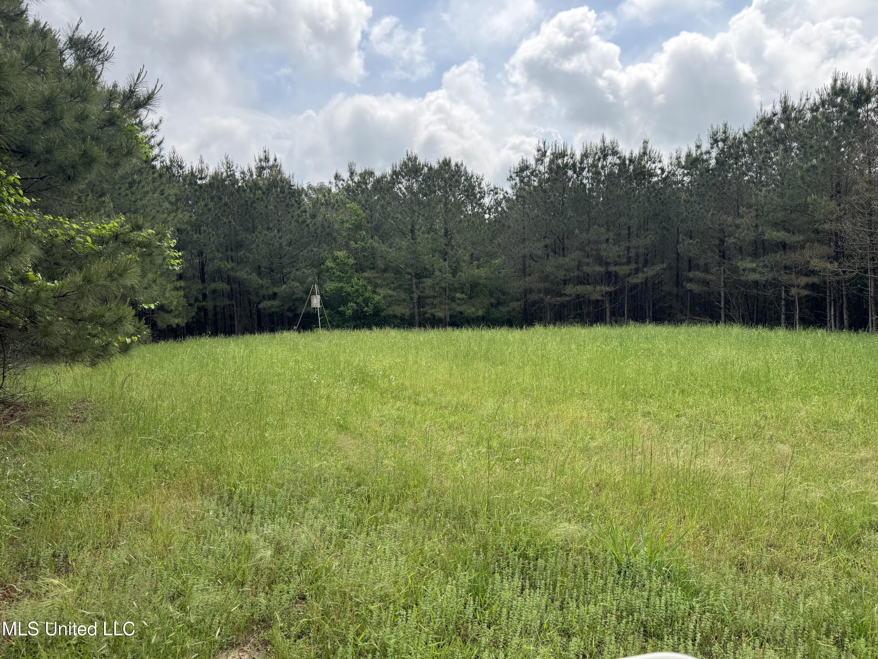 2048 Ashley Road, Hazlehurst, Mississippi image 23