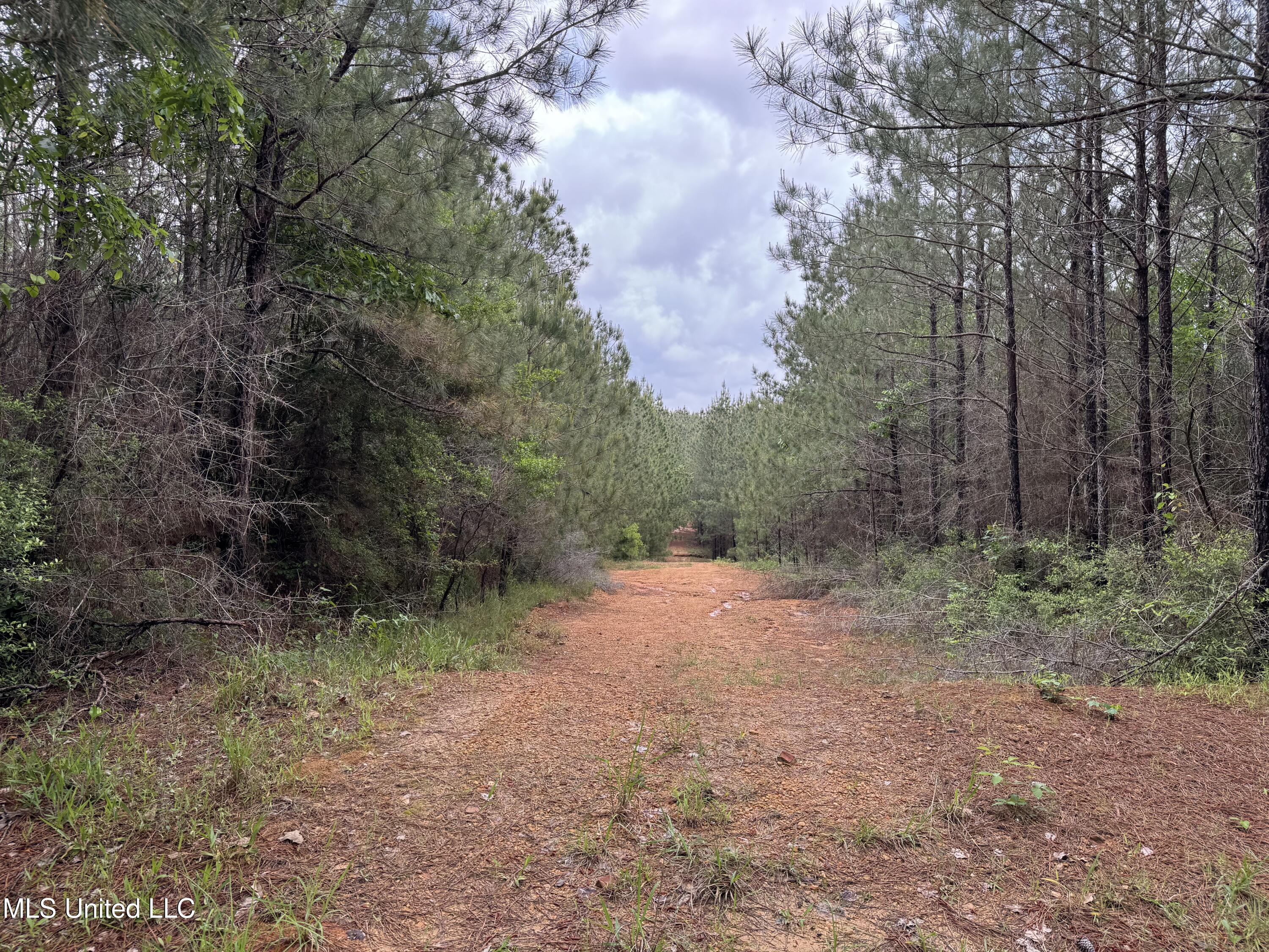 2048 Ashley Road, Hazlehurst, Mississippi image 28