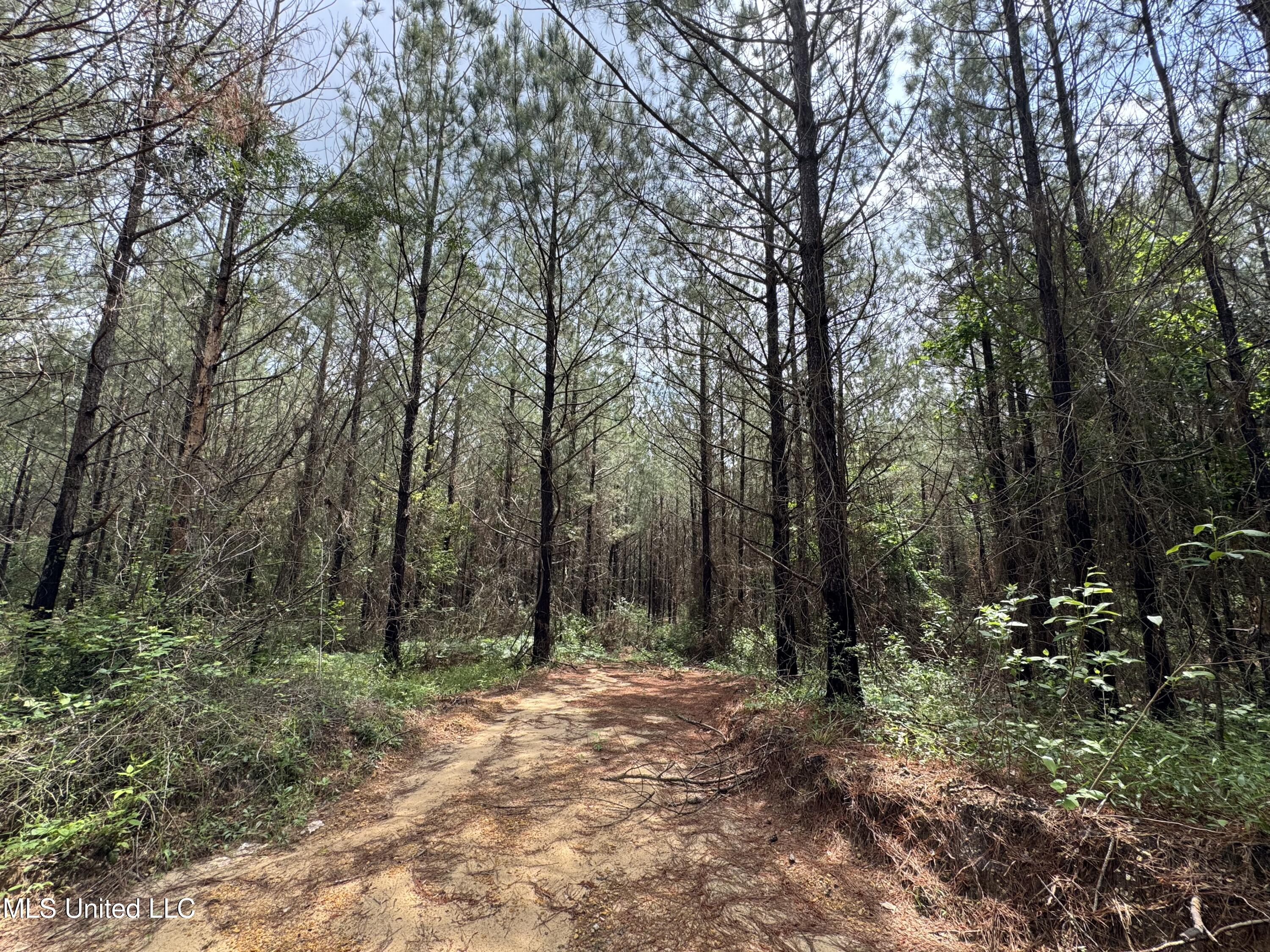 2048 Ashley Road, Hazlehurst, Mississippi image 37