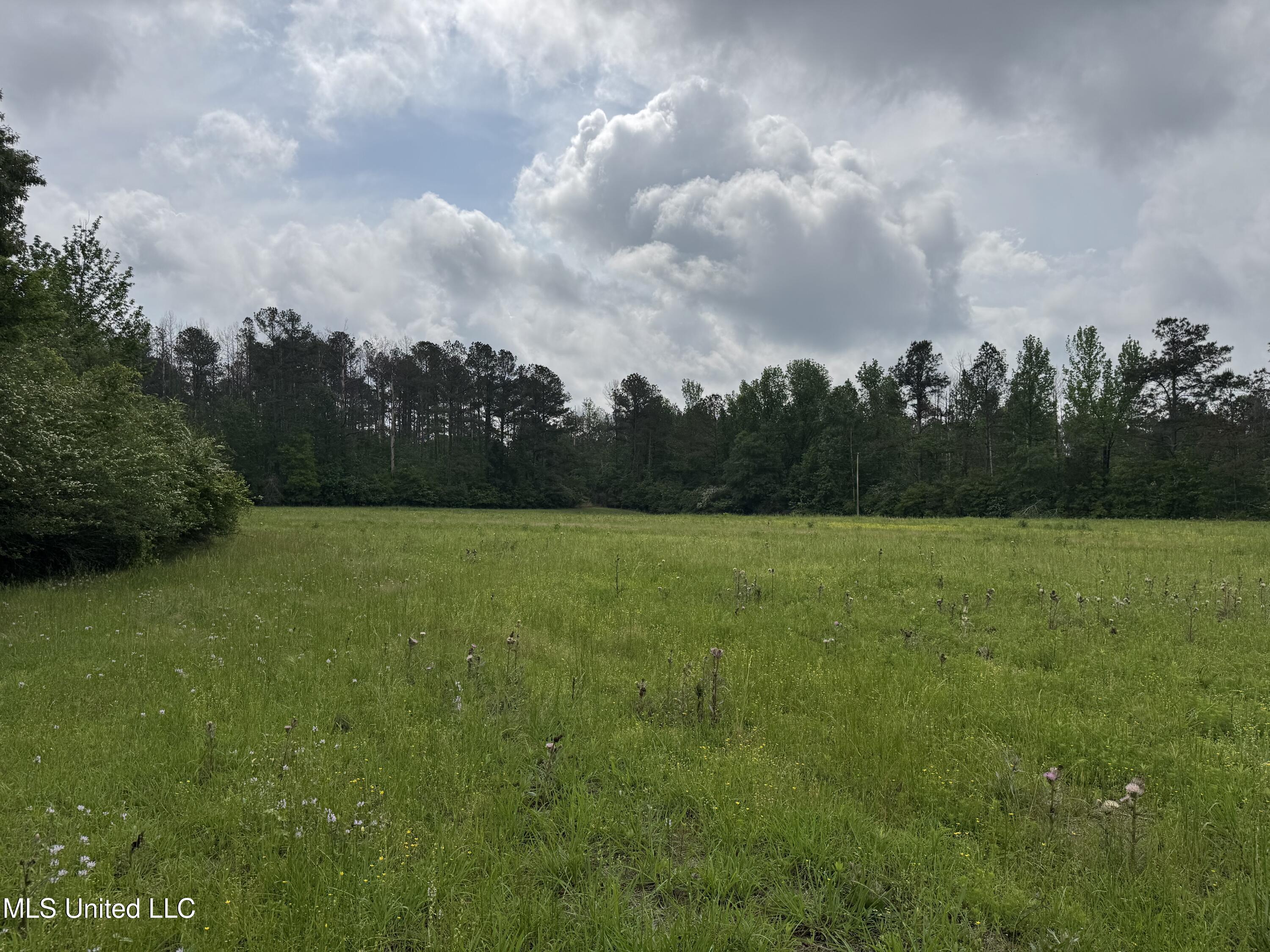 2048 Ashley Road, Hazlehurst, Mississippi image 12