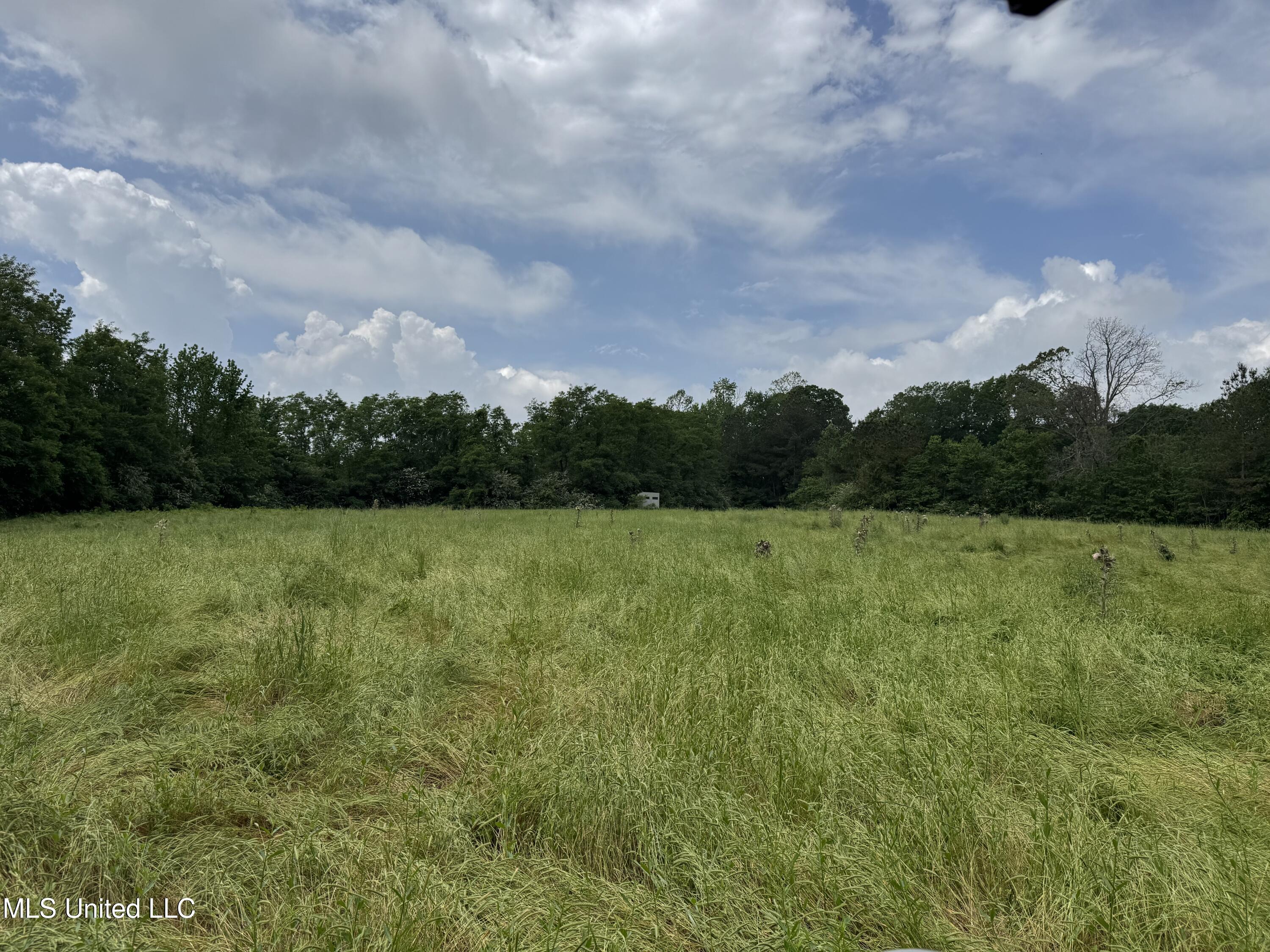 2048 Ashley Road, Hazlehurst, Mississippi image 42