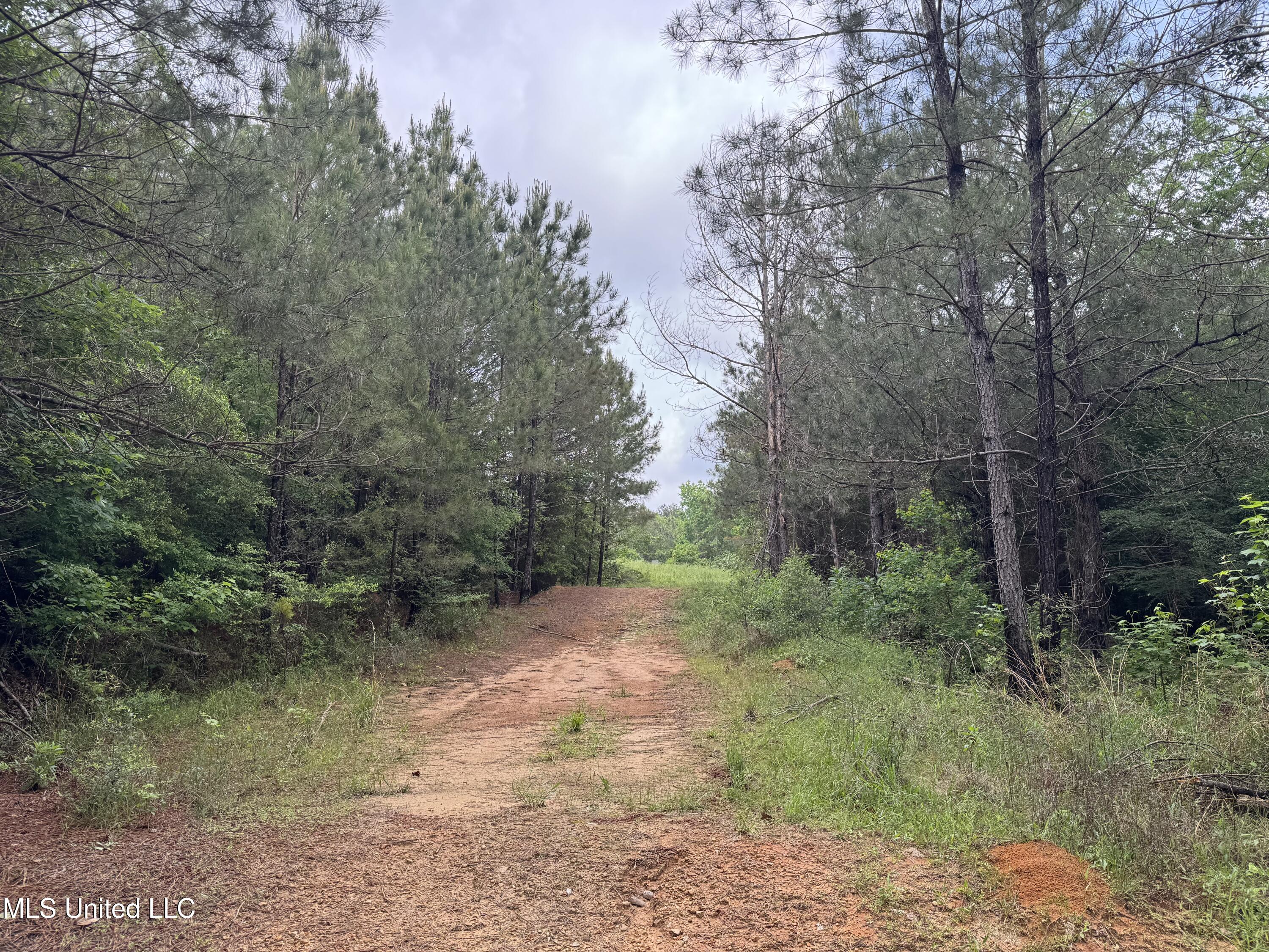 2048 Ashley Road, Hazlehurst, Mississippi image 26