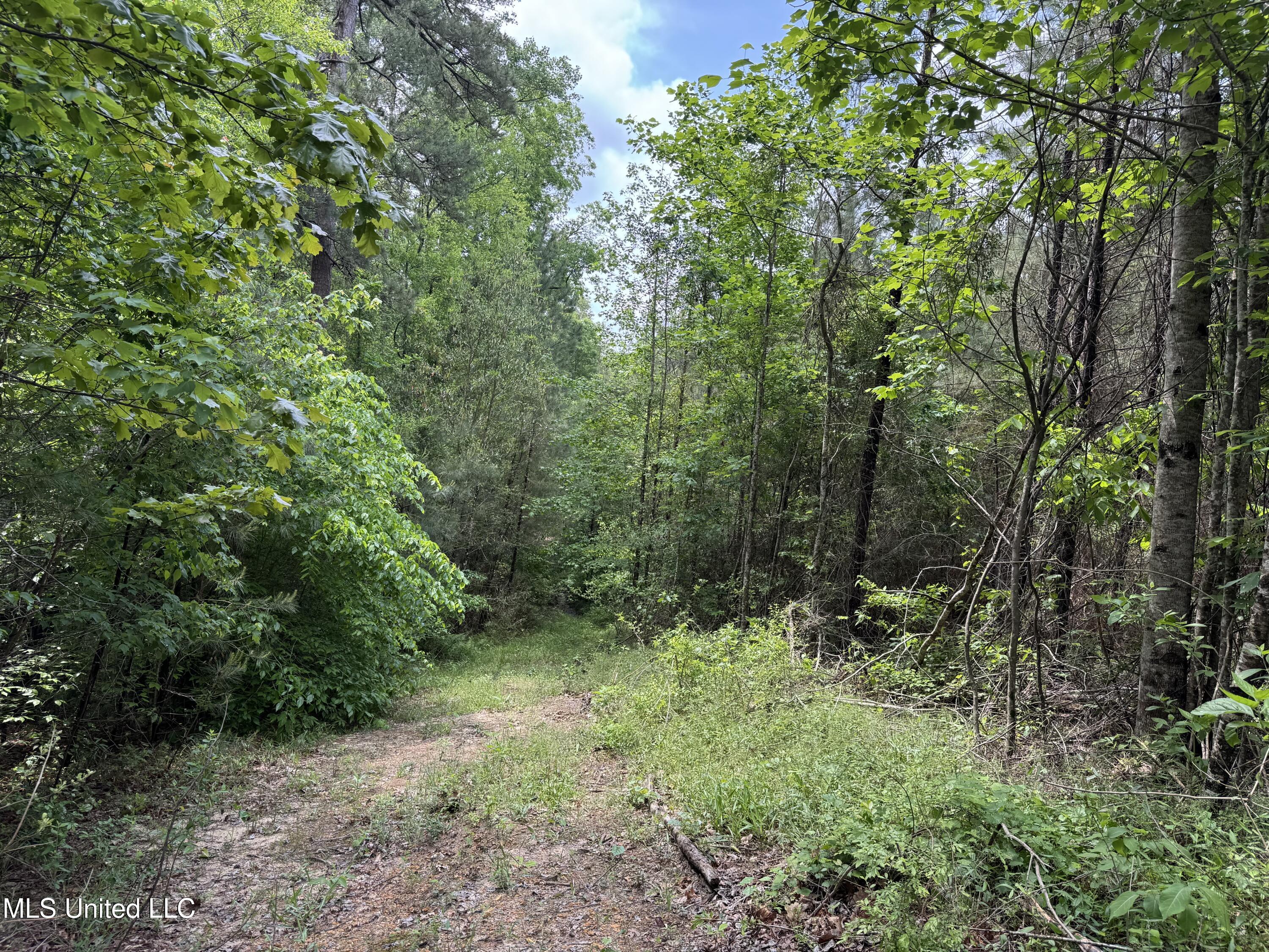 2048 Ashley Road, Hazlehurst, Mississippi image 50