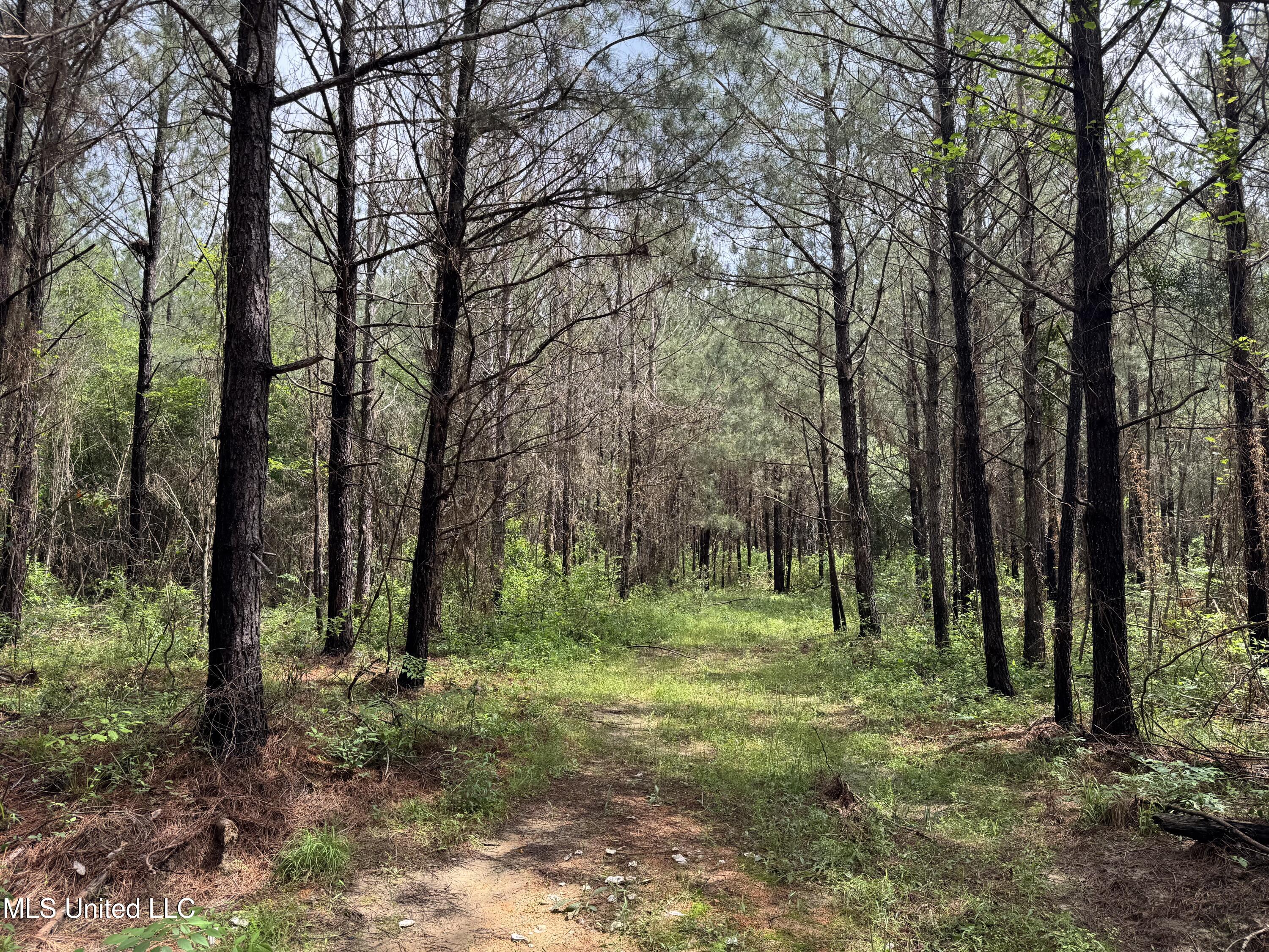 2048 Ashley Road, Hazlehurst, Mississippi image 38