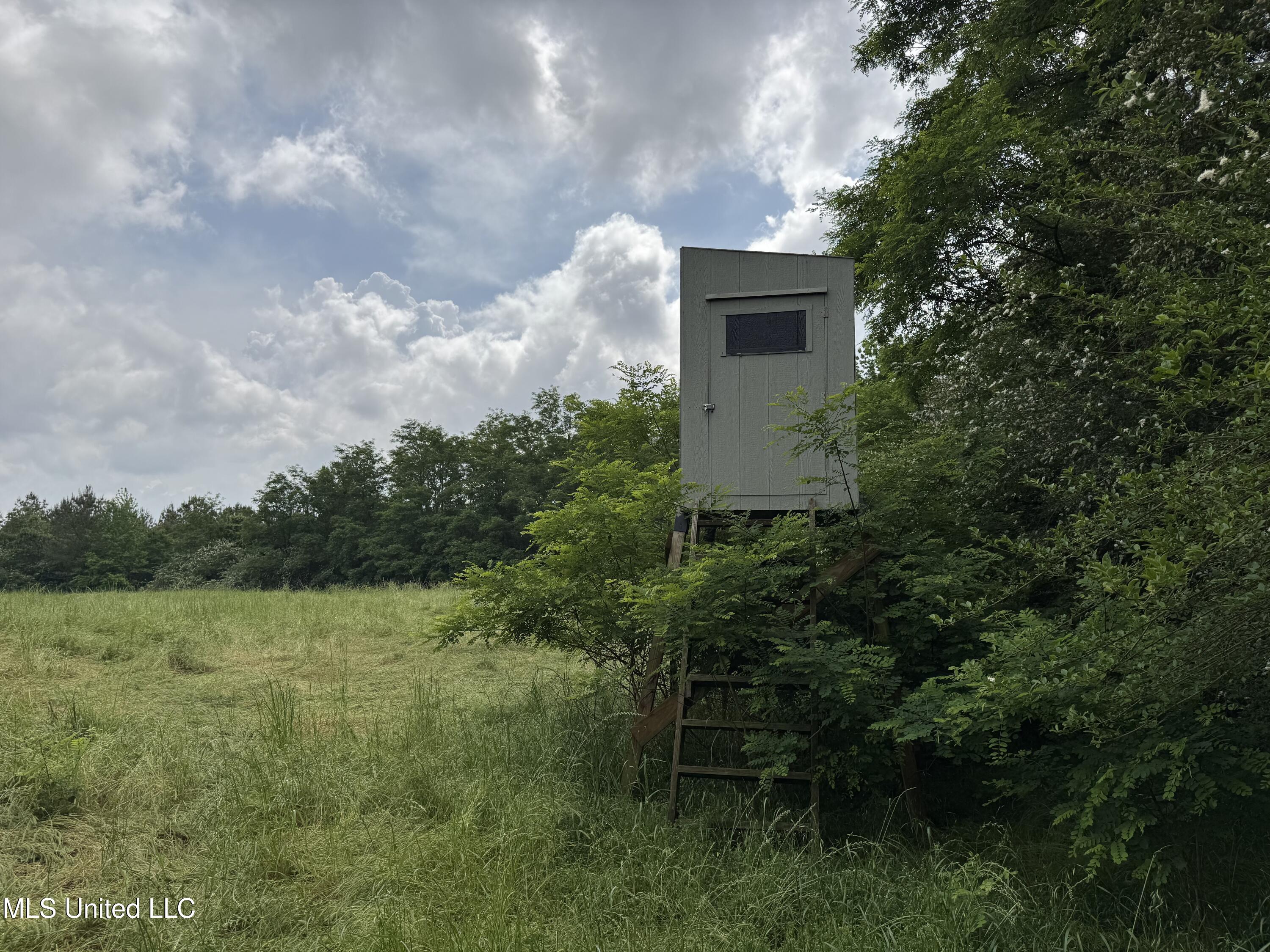 2048 Ashley Road, Hazlehurst, Mississippi image 31