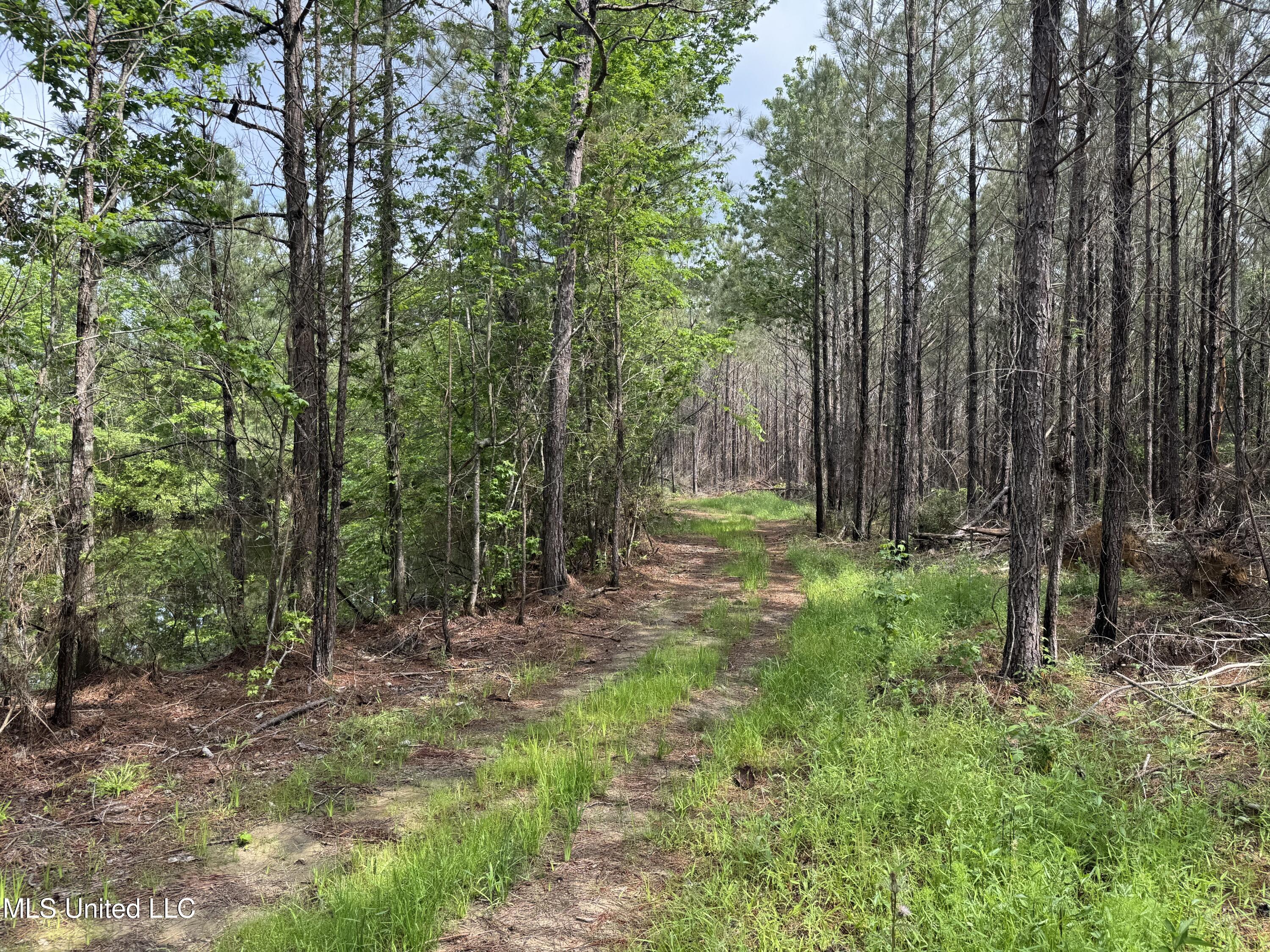 2048 Ashley Road, Hazlehurst, Mississippi image 17