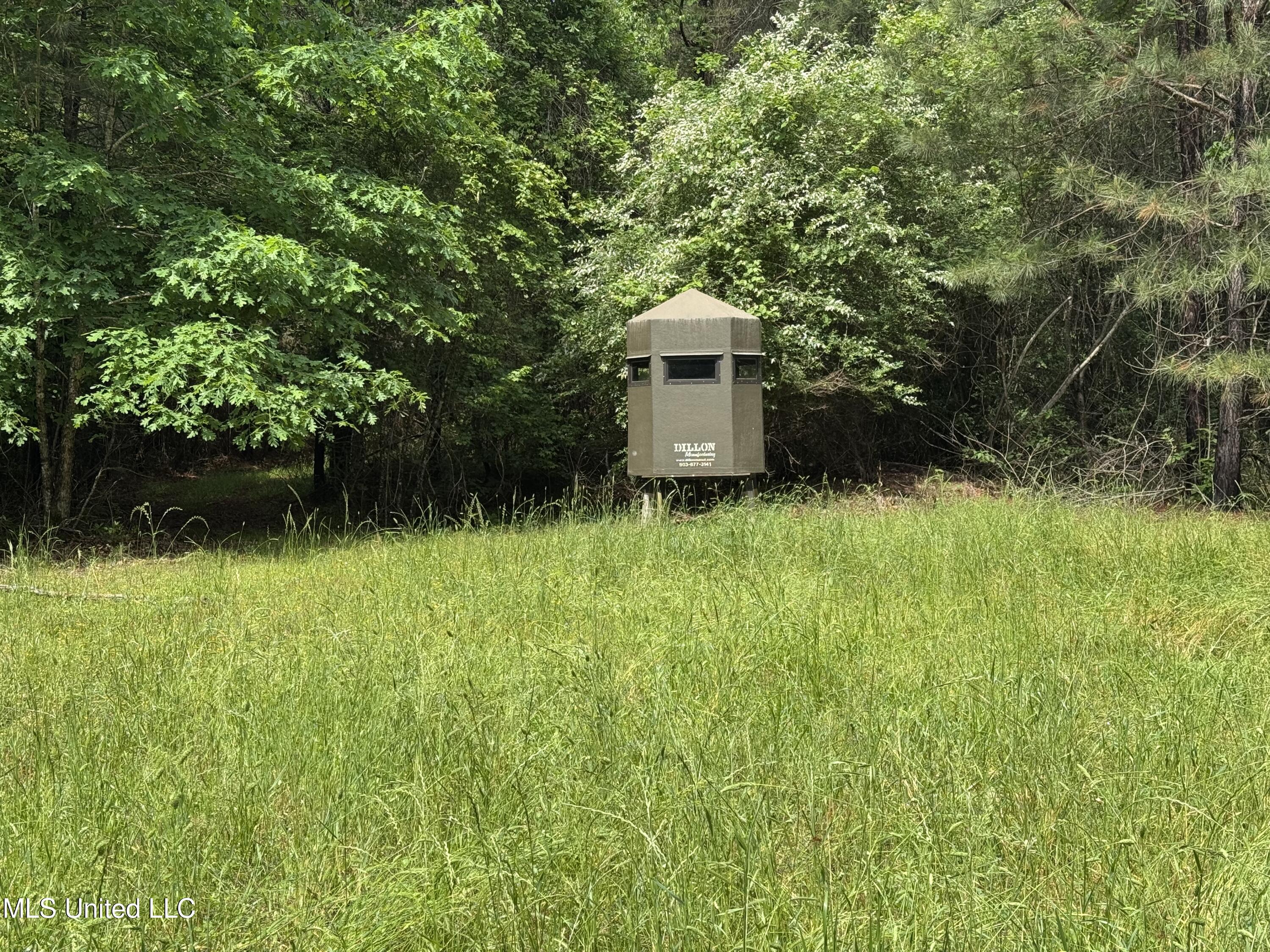 2048 Ashley Road, Hazlehurst, Mississippi image 45