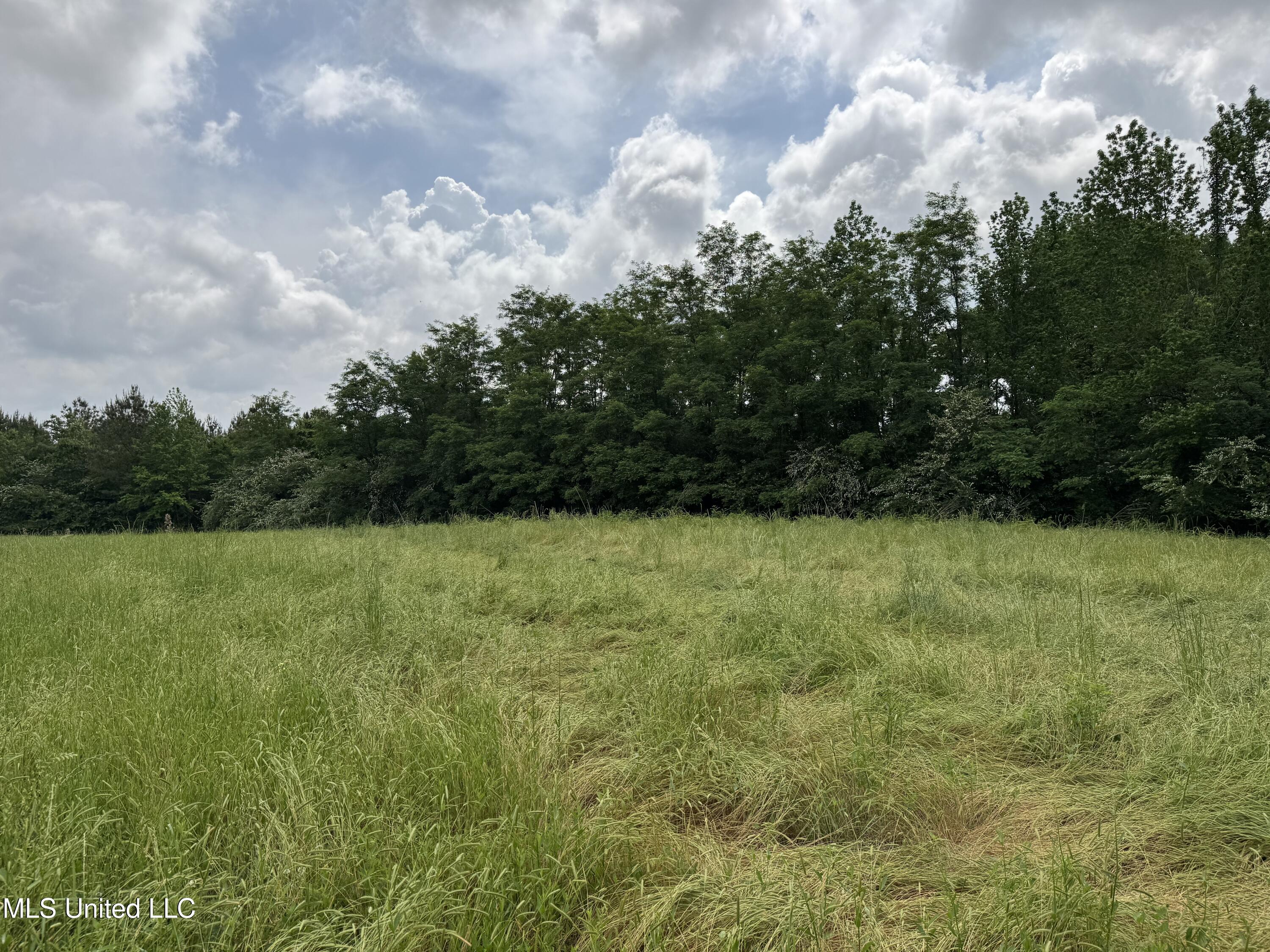 2048 Ashley Road, Hazlehurst, Mississippi image 34