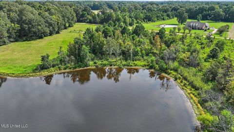 Vacant Land For Sale - S Highway 55<br/> Terry, MS 39170