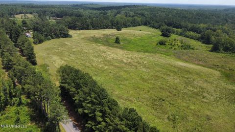 Vacant Land For Sale - 3 County Road 347<br/> Philadelphia, MS 39350