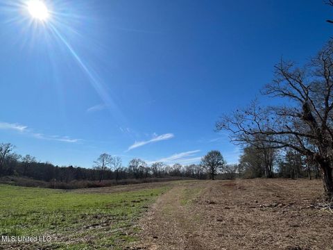 Vacant Land For Sale - 00 Biltmore Road<br/> Pike County, McComb, MS 39648