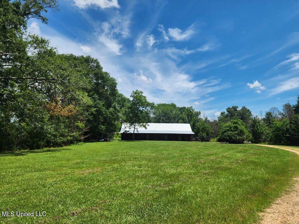 1077 Cleveland Street, Hazlehurst, Mississippi image 38