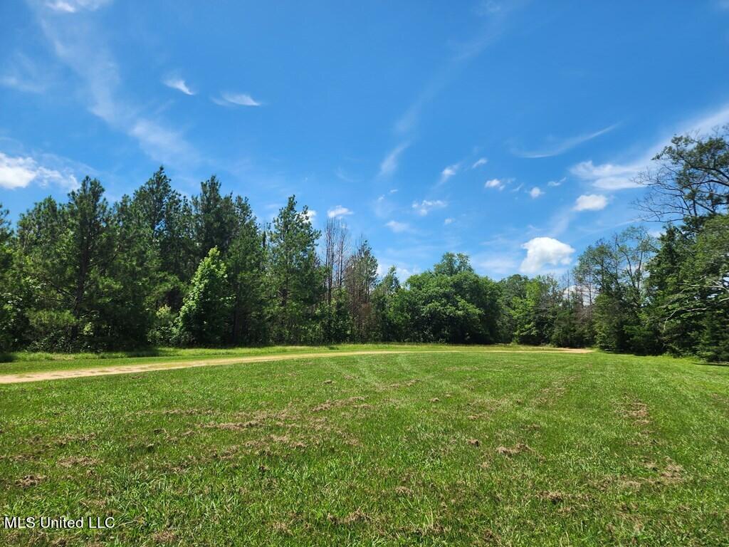 1077 Cleveland Street, Hazlehurst, Mississippi image 37