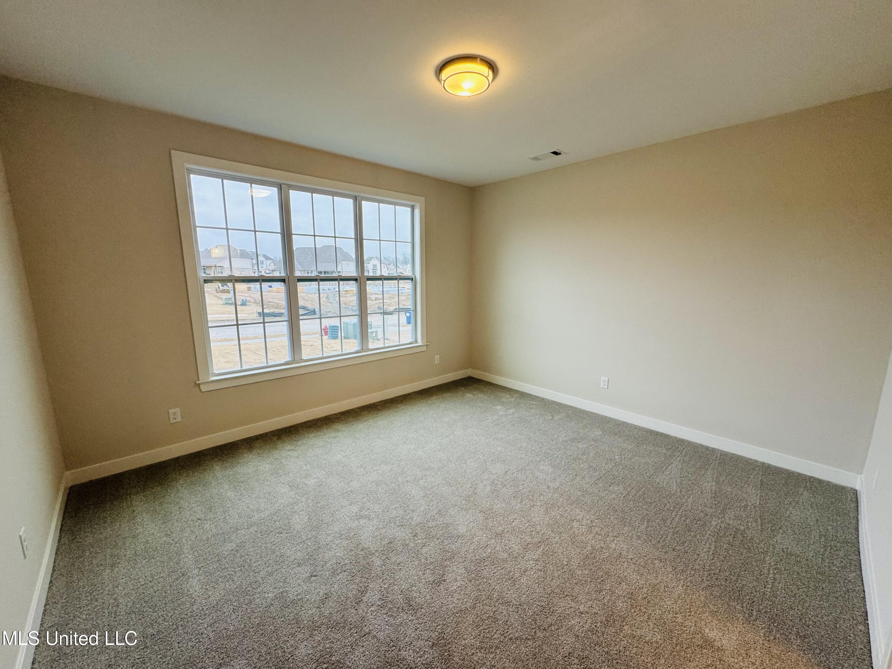 3905 Mcelroy Farms Drive, Olive Branch, Mississippi image 13