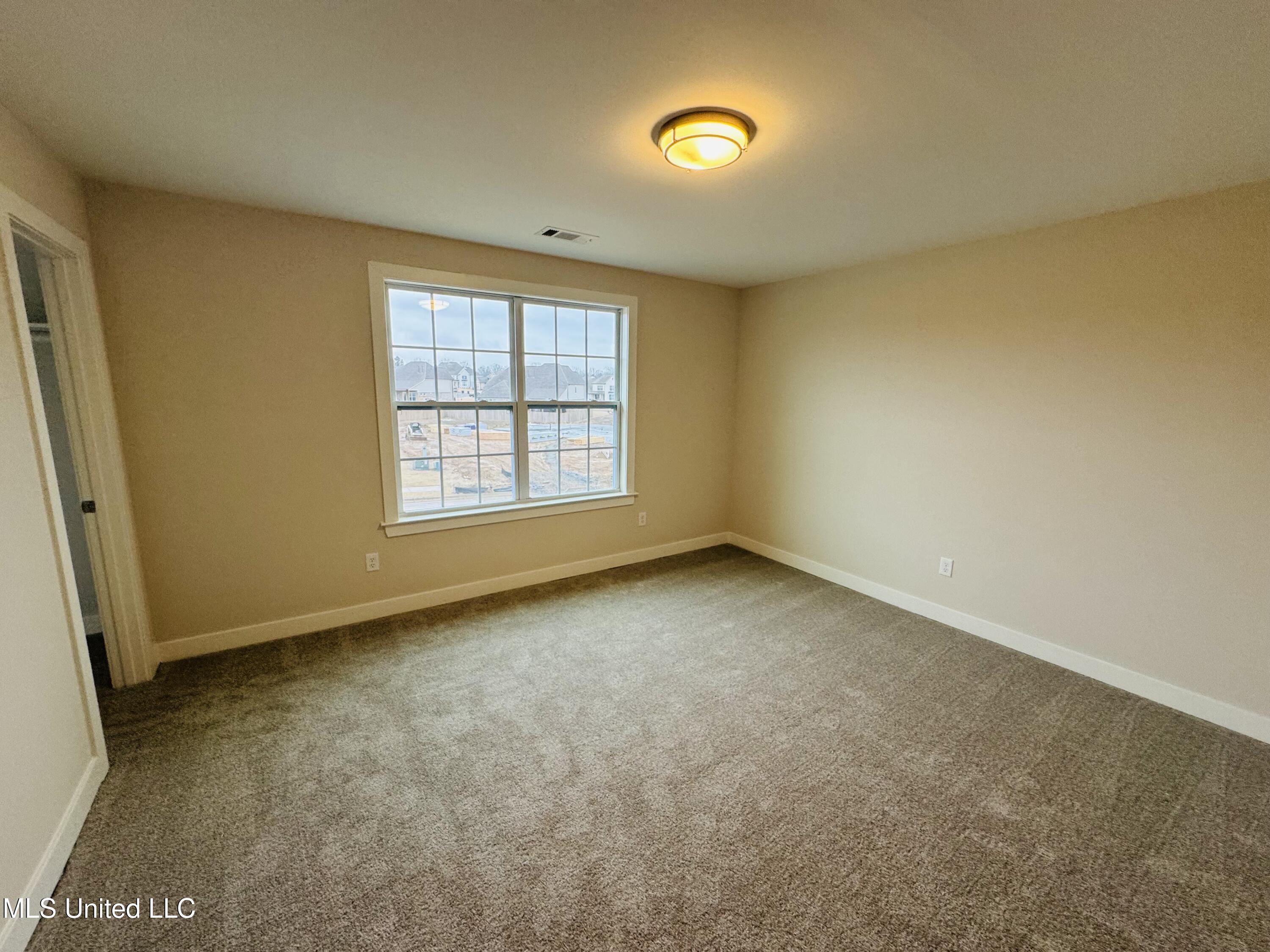 3905 Mcelroy Farms Drive, Olive Branch, Mississippi image 27