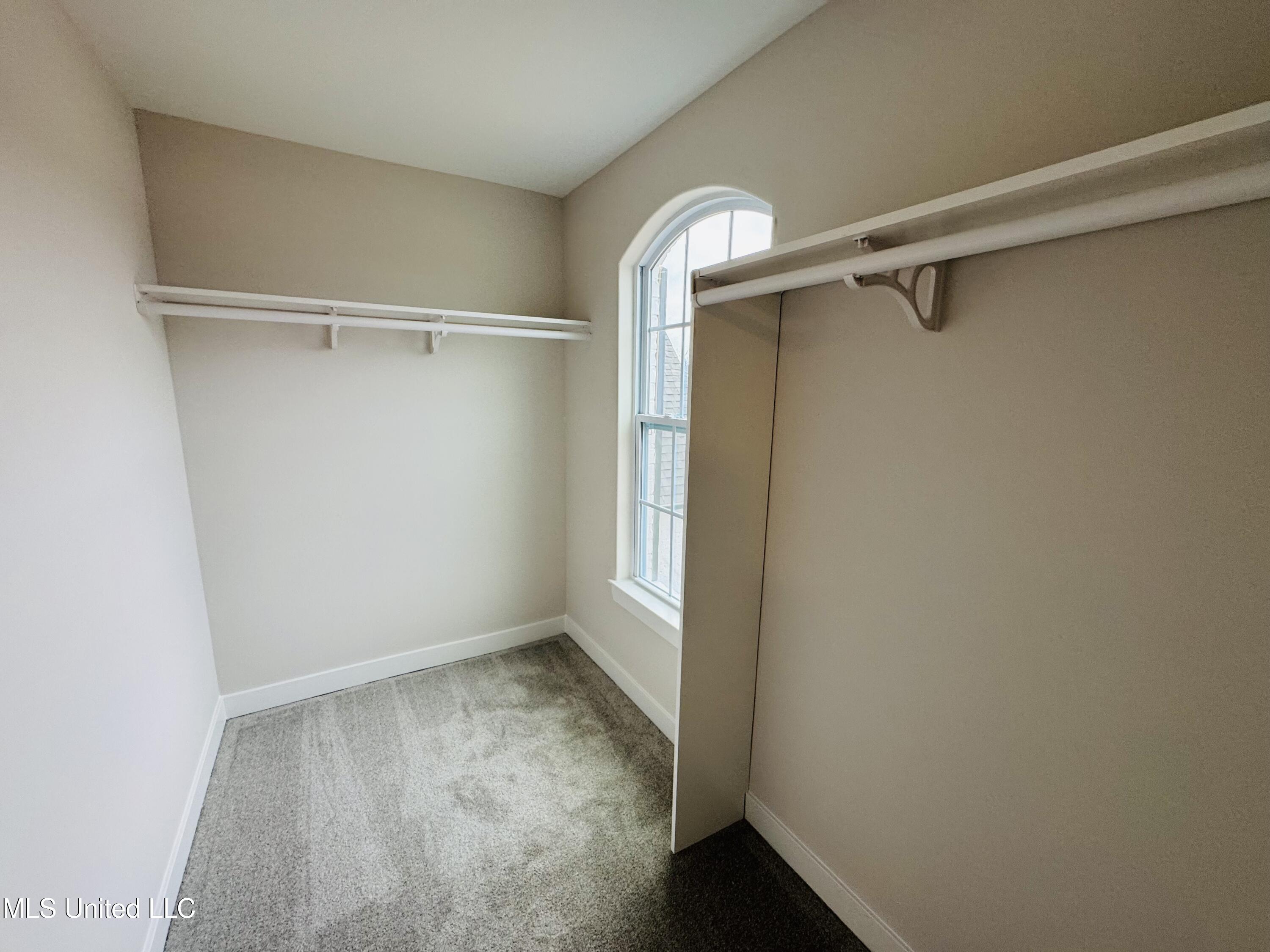 3905 Mcelroy Farms Drive, Olive Branch, Mississippi image 29
