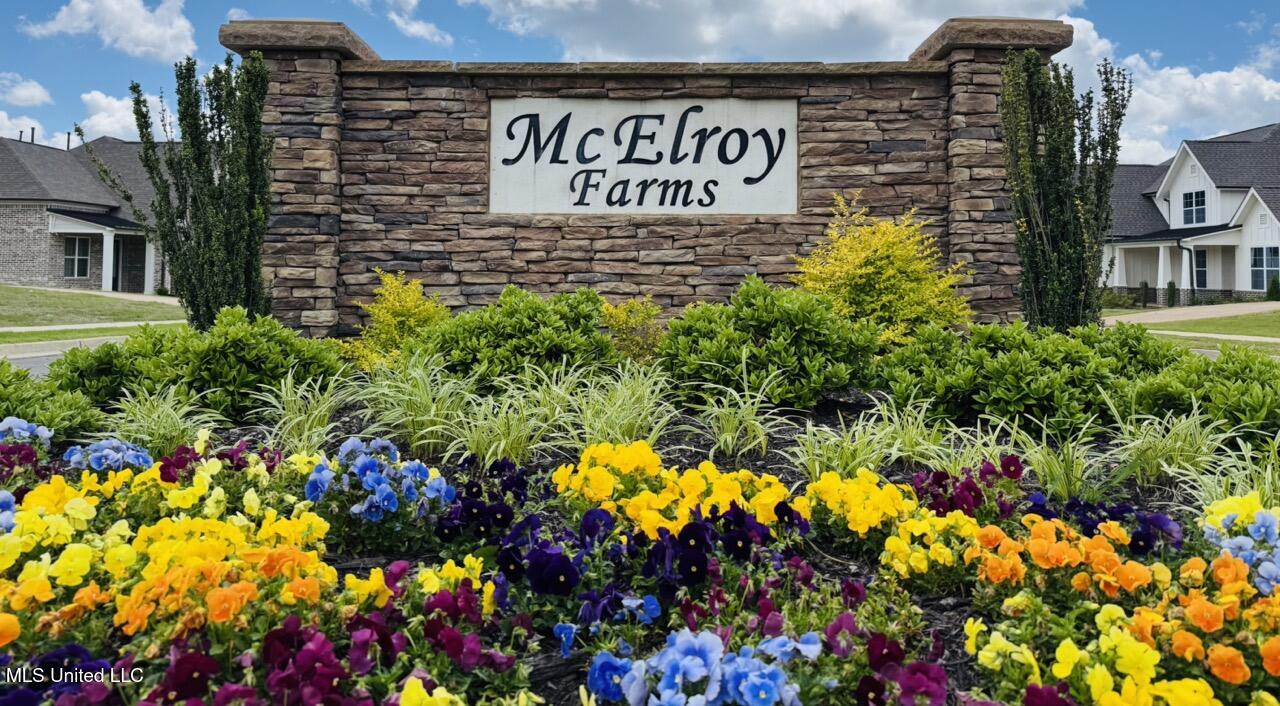 3905 Mcelroy Farms Drive, Olive Branch, Mississippi image 2