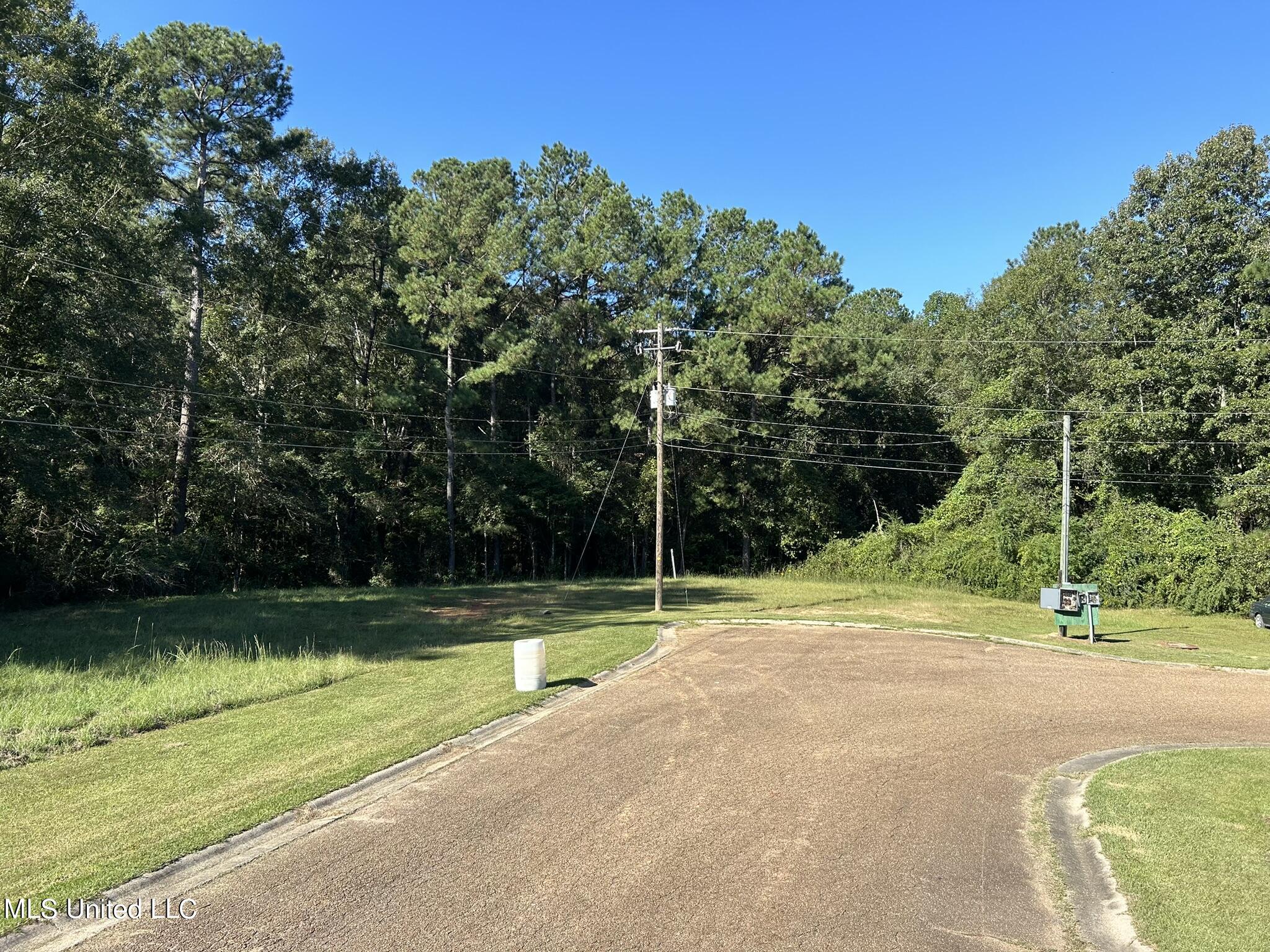 Mcgowan Road, Collins, Mississippi image 1