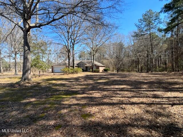 125 Jamison Court, Brandon, Mississippi image 2