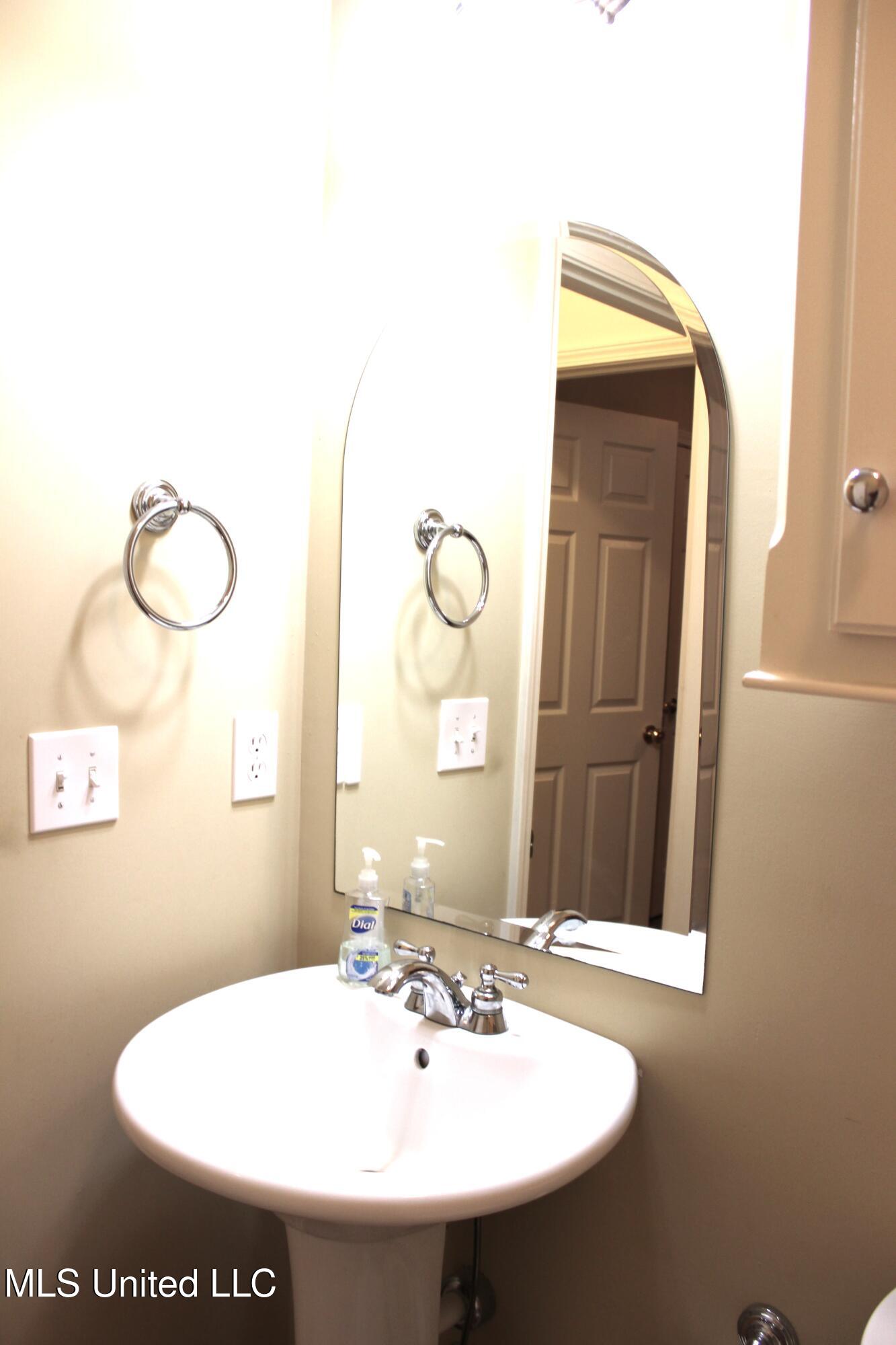 1210 Coachlight Cove, Brandon, Mississippi image 18
