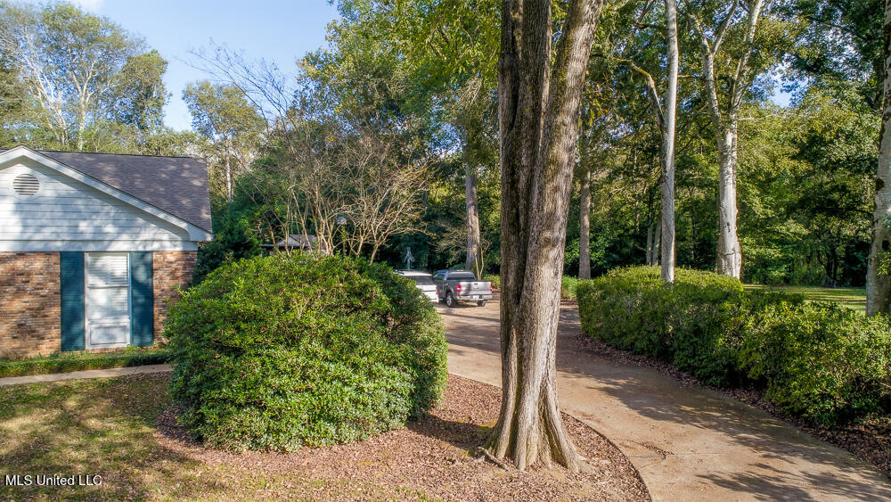 305 Creekbend Road, Natchez, Mississippi image 6