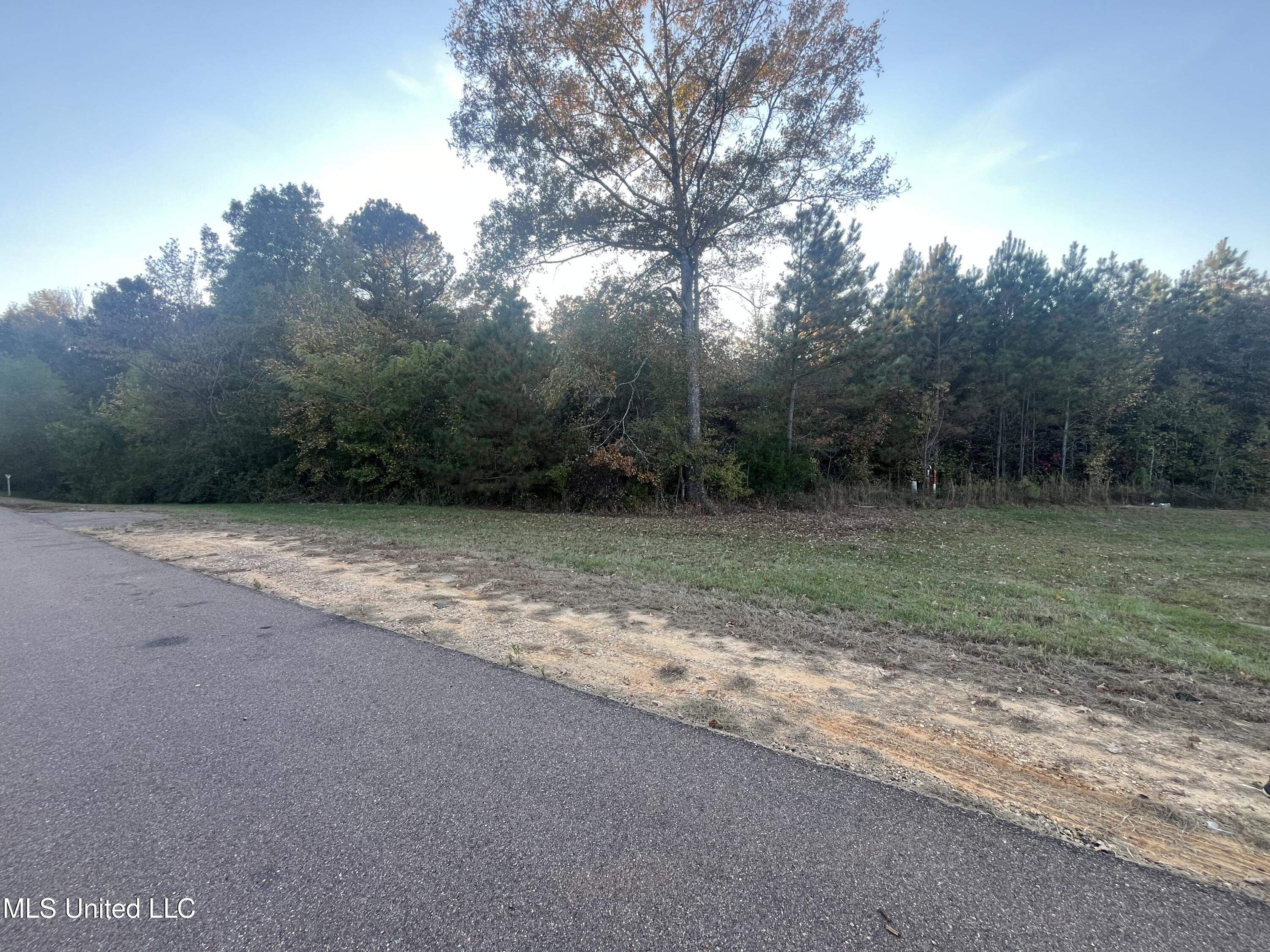 St. Thomas Parkway, Clinton, Mississippi image 5