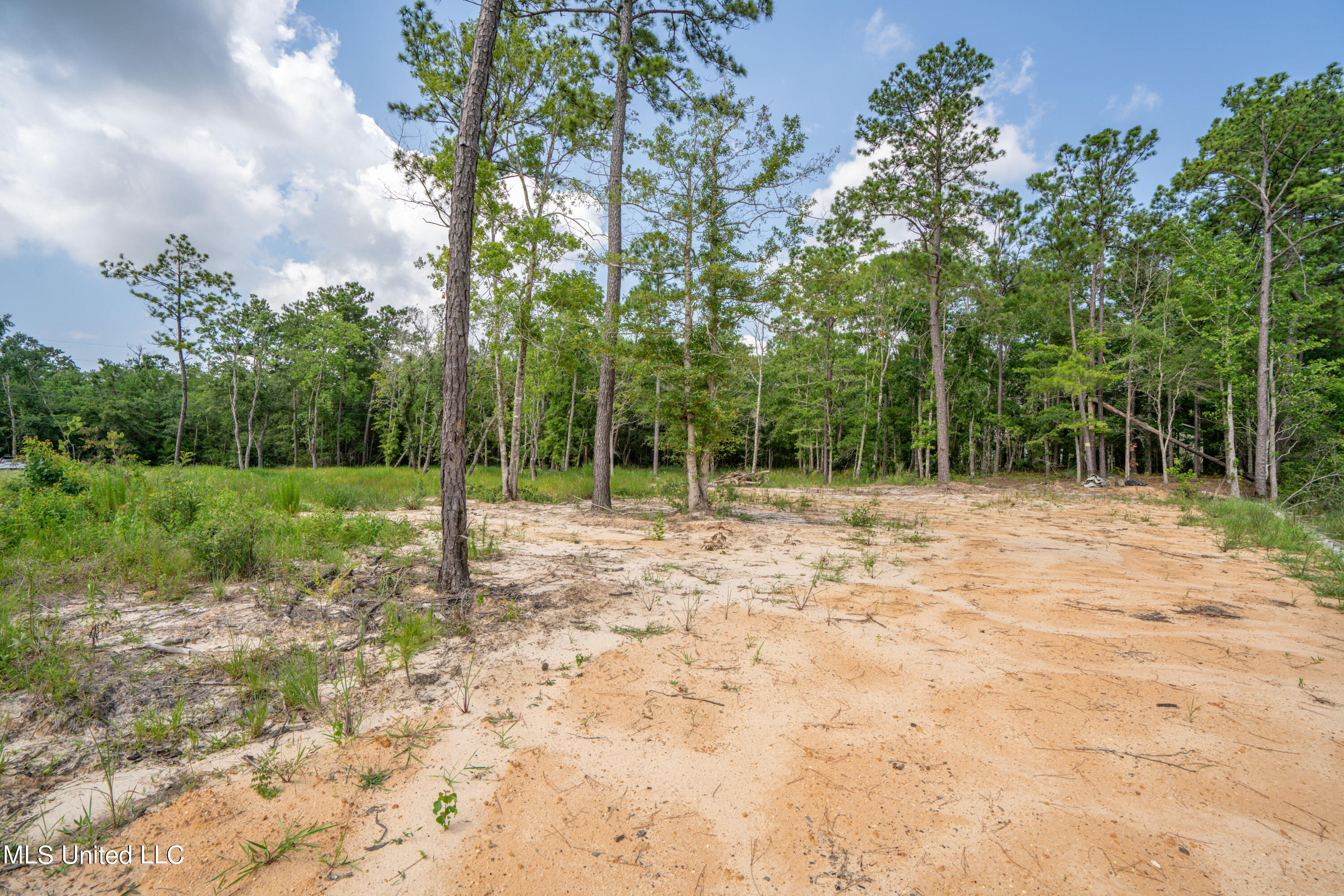 10083 Cain Road, Bay Saint Louis, Mississippi image 5